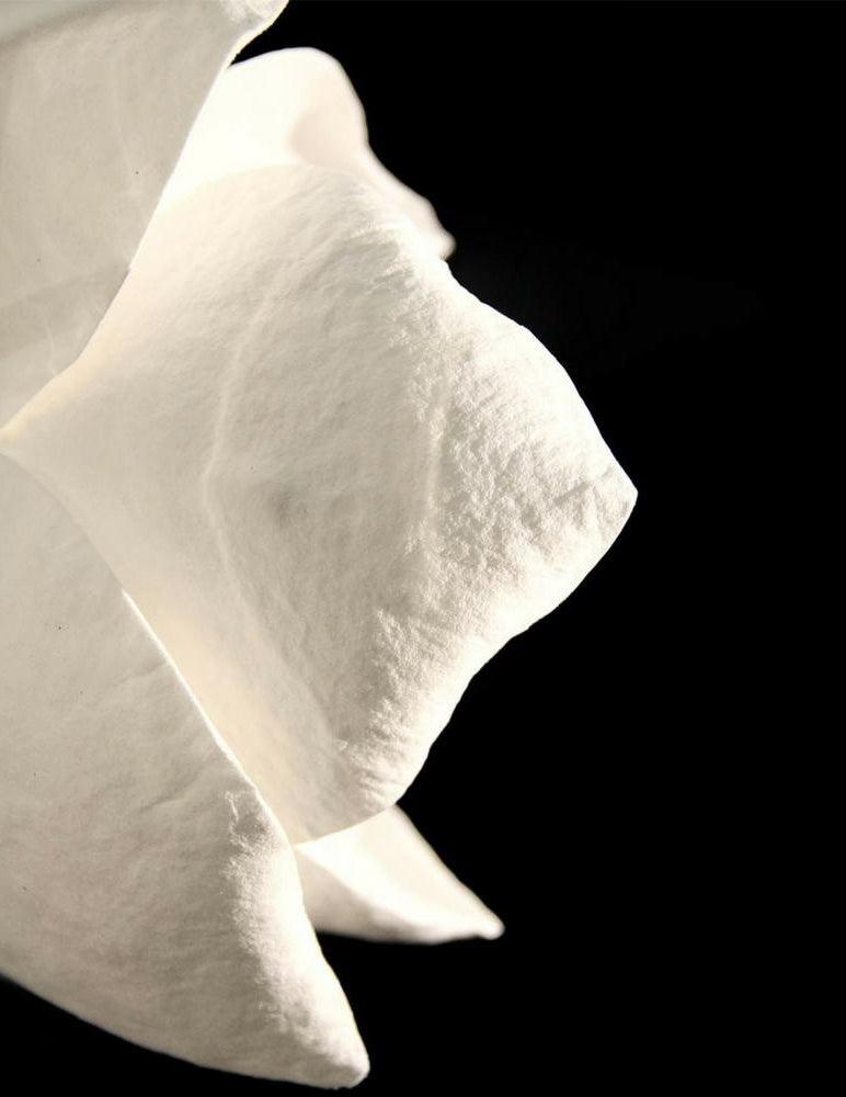 Lure Sconce - Lumpaz