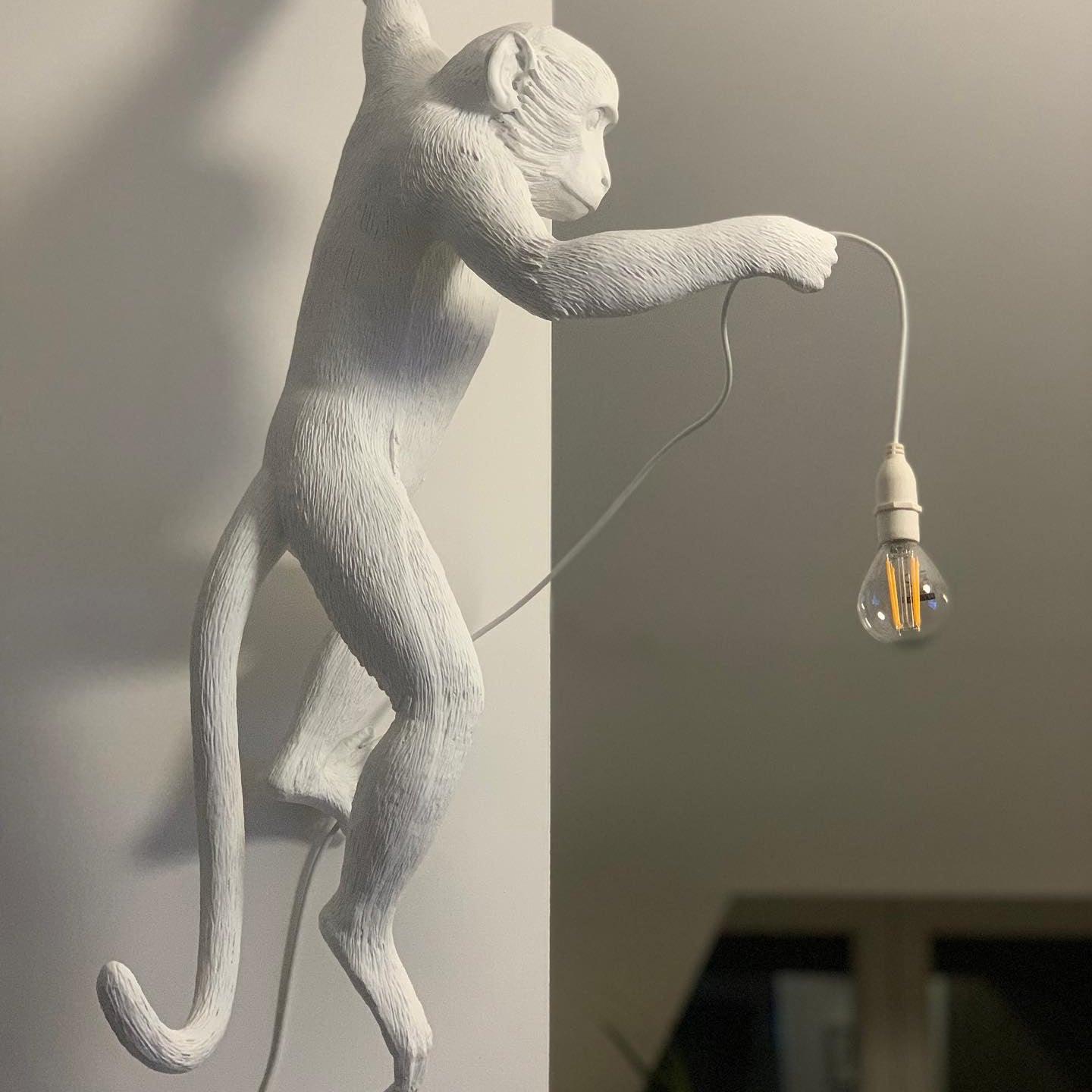Monkey Wall Lamp - Lumpaz