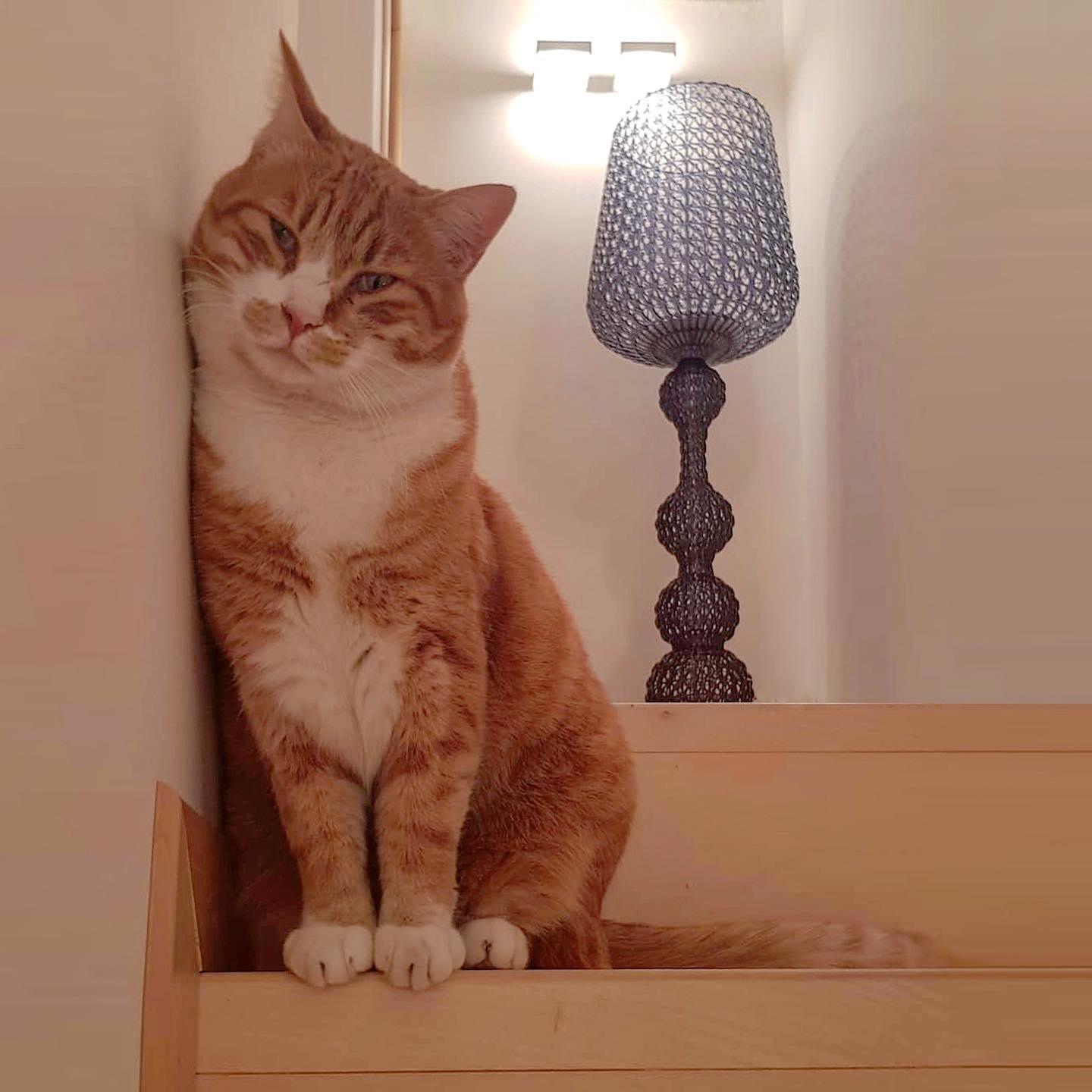 Kabuki Floor Lamp - Lumpaz