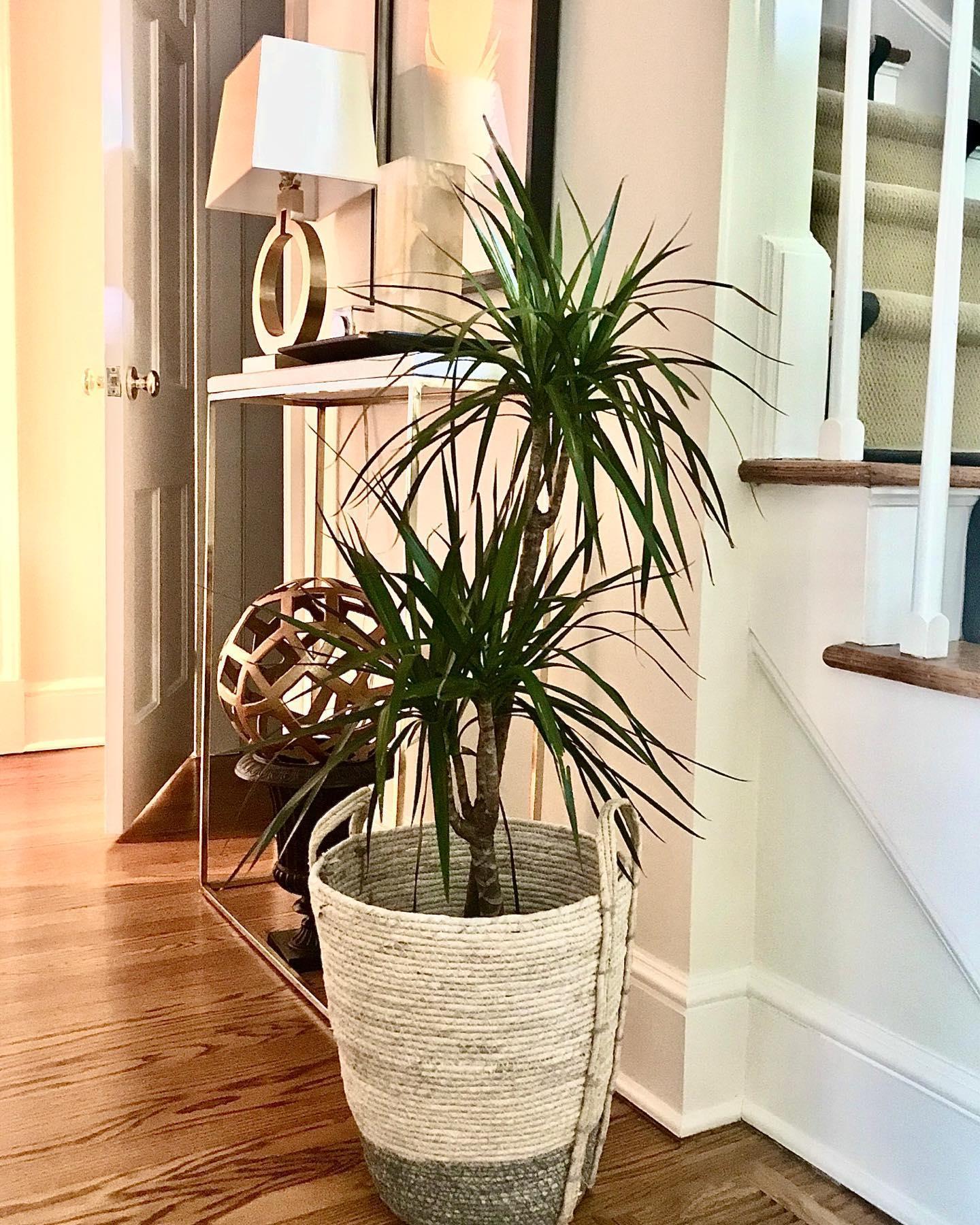 Ring Form Table Lamp - Lumpaz