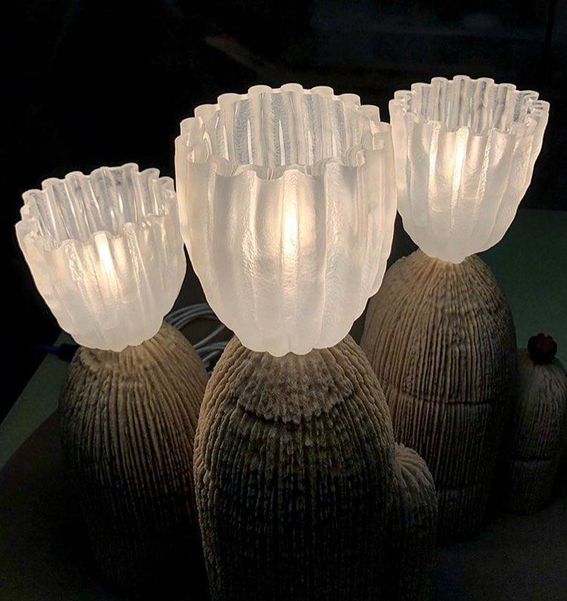 RBS Cactus Lamp - Lumpaz