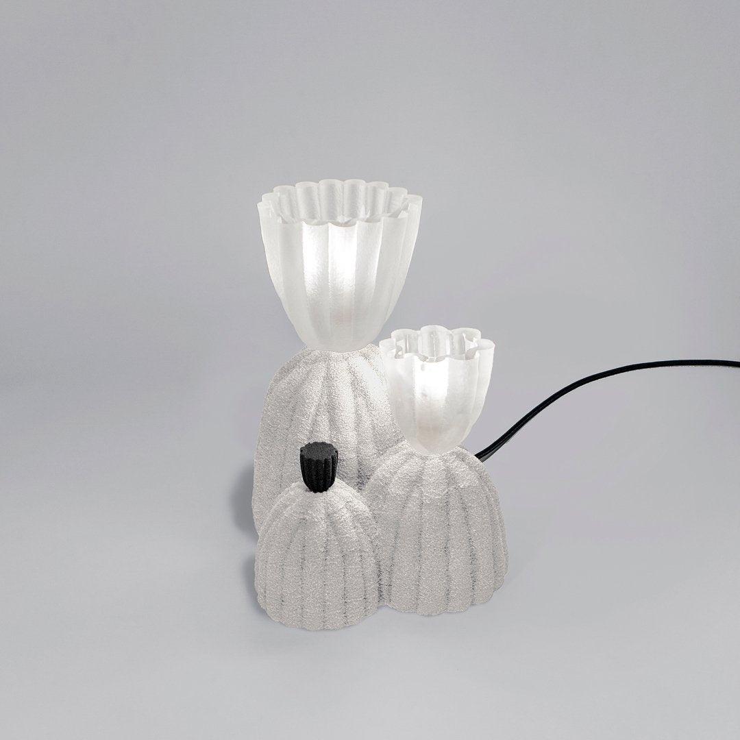 RBS Cactus Lamp - Lumpaz
