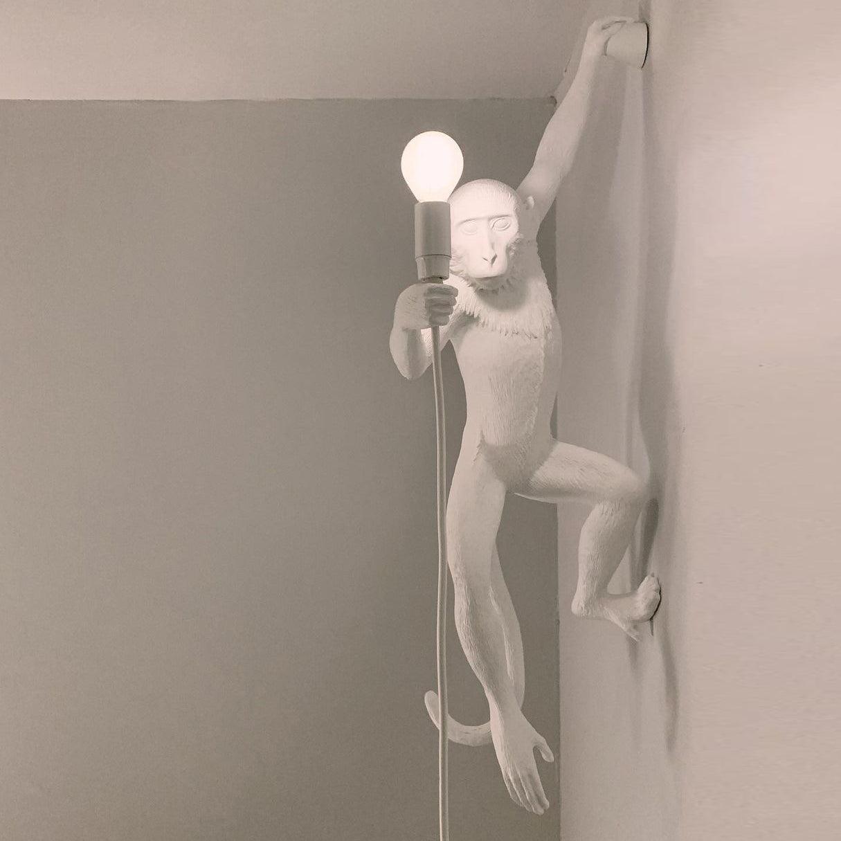 Monkey Wall Lamp - Lumpaz
