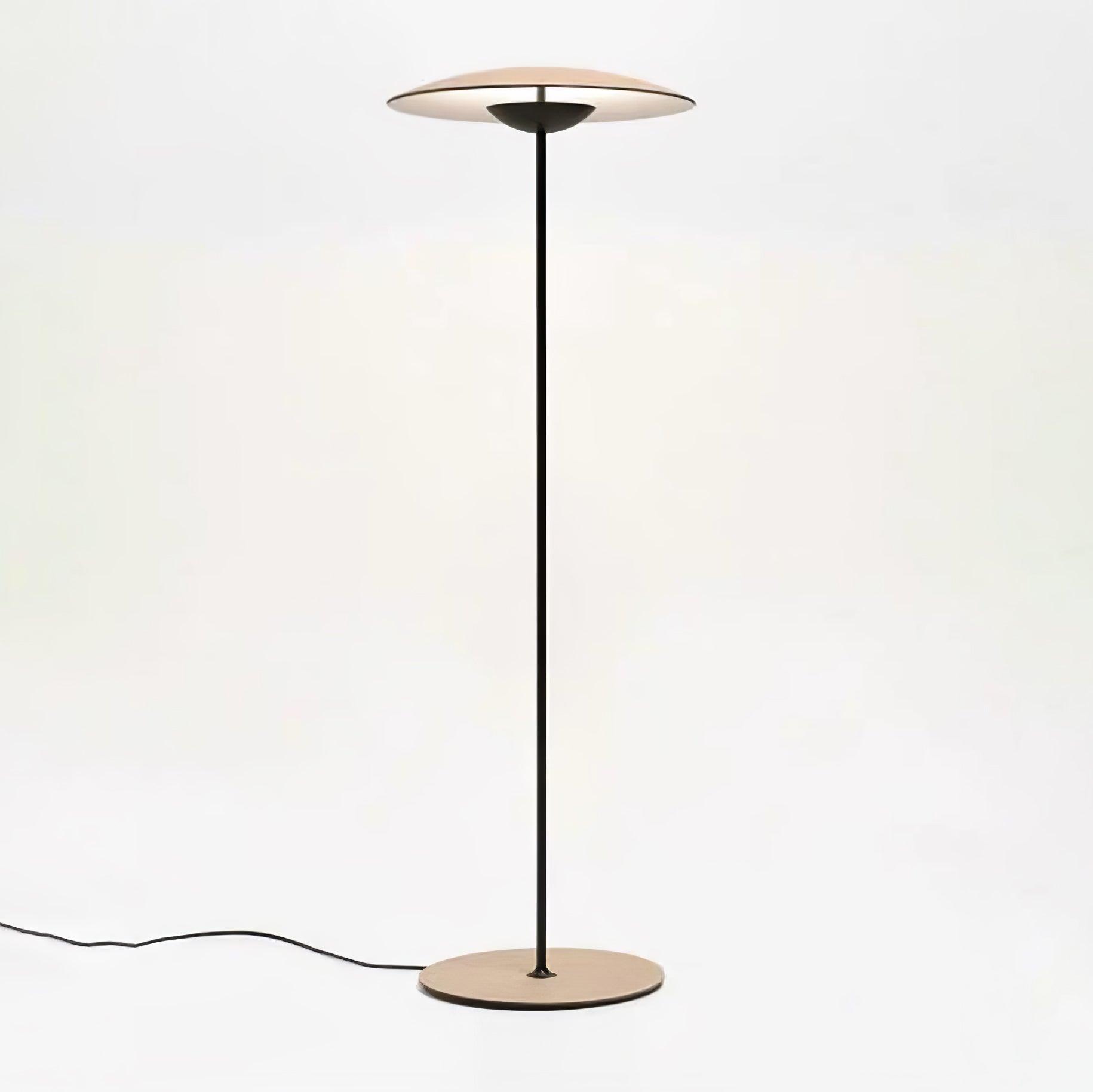 Innovative Directional Floor Lamp - Lumpaz