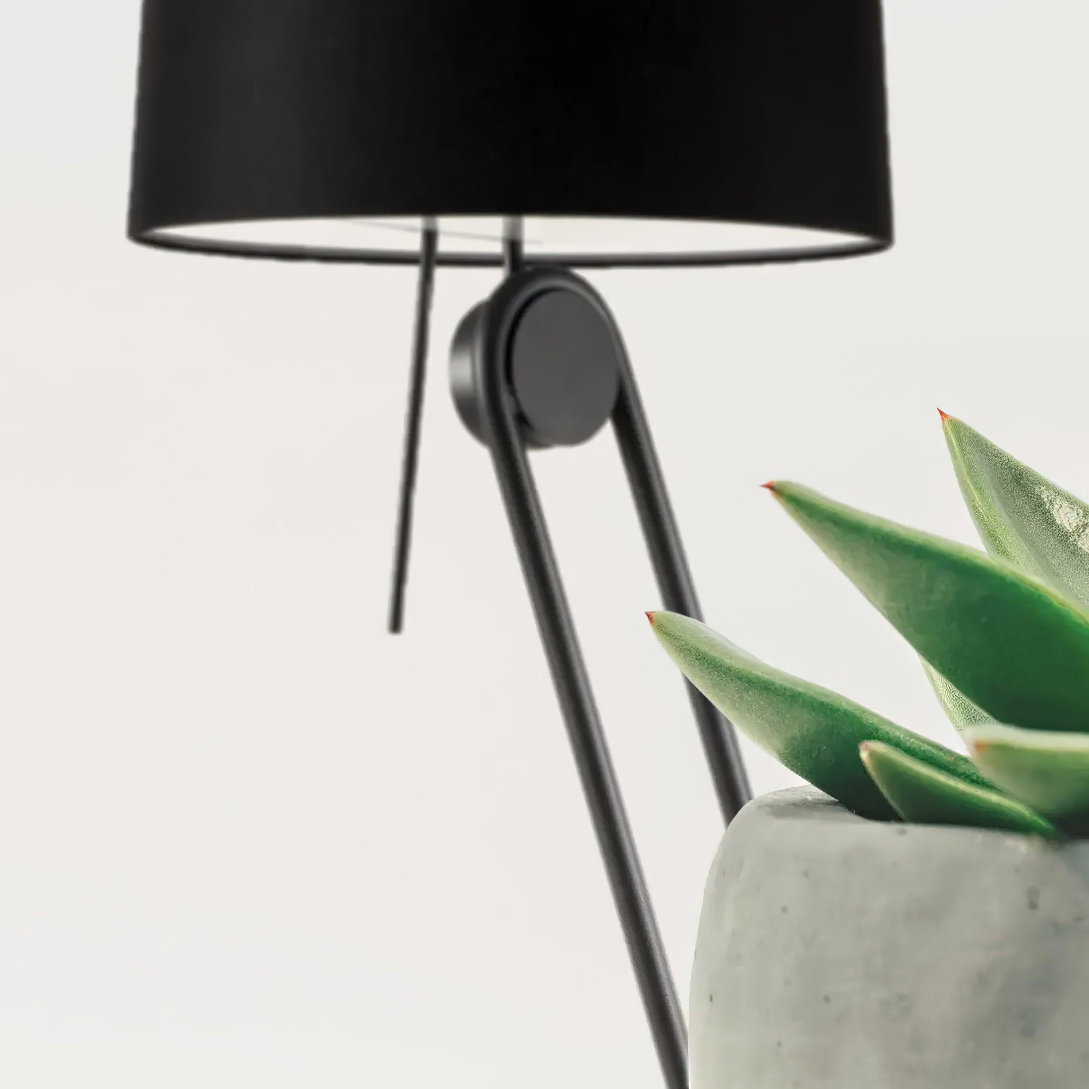 Sibaca Floor Lamp - Lumpaz