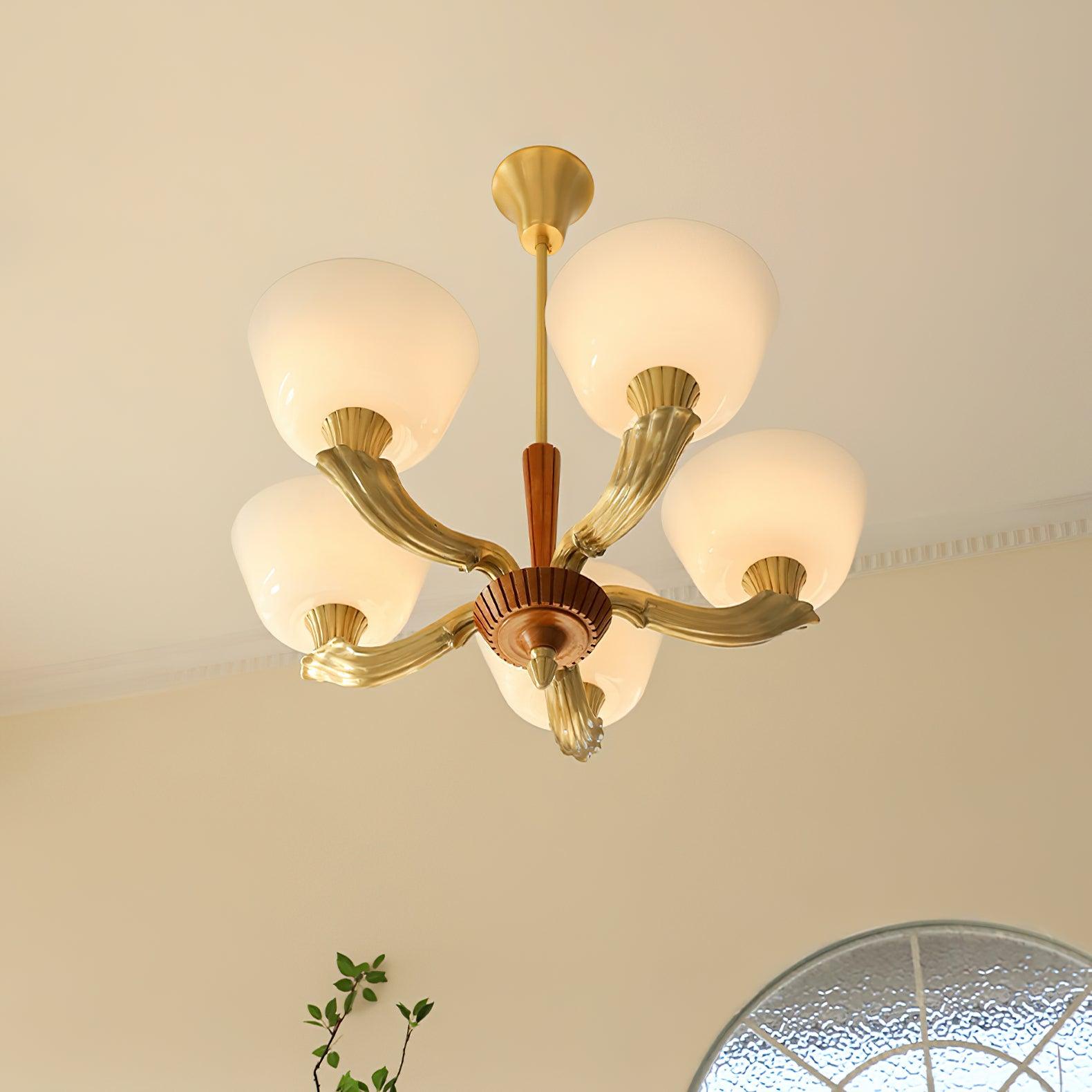 Ascher Chandelier - Lumpaz