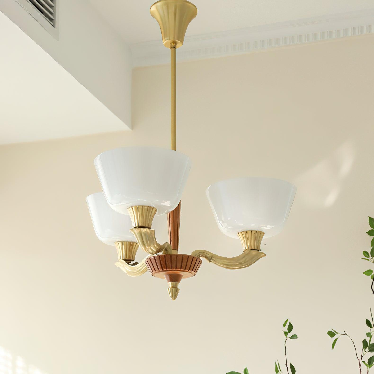Ascher Chandelier - Lumpaz