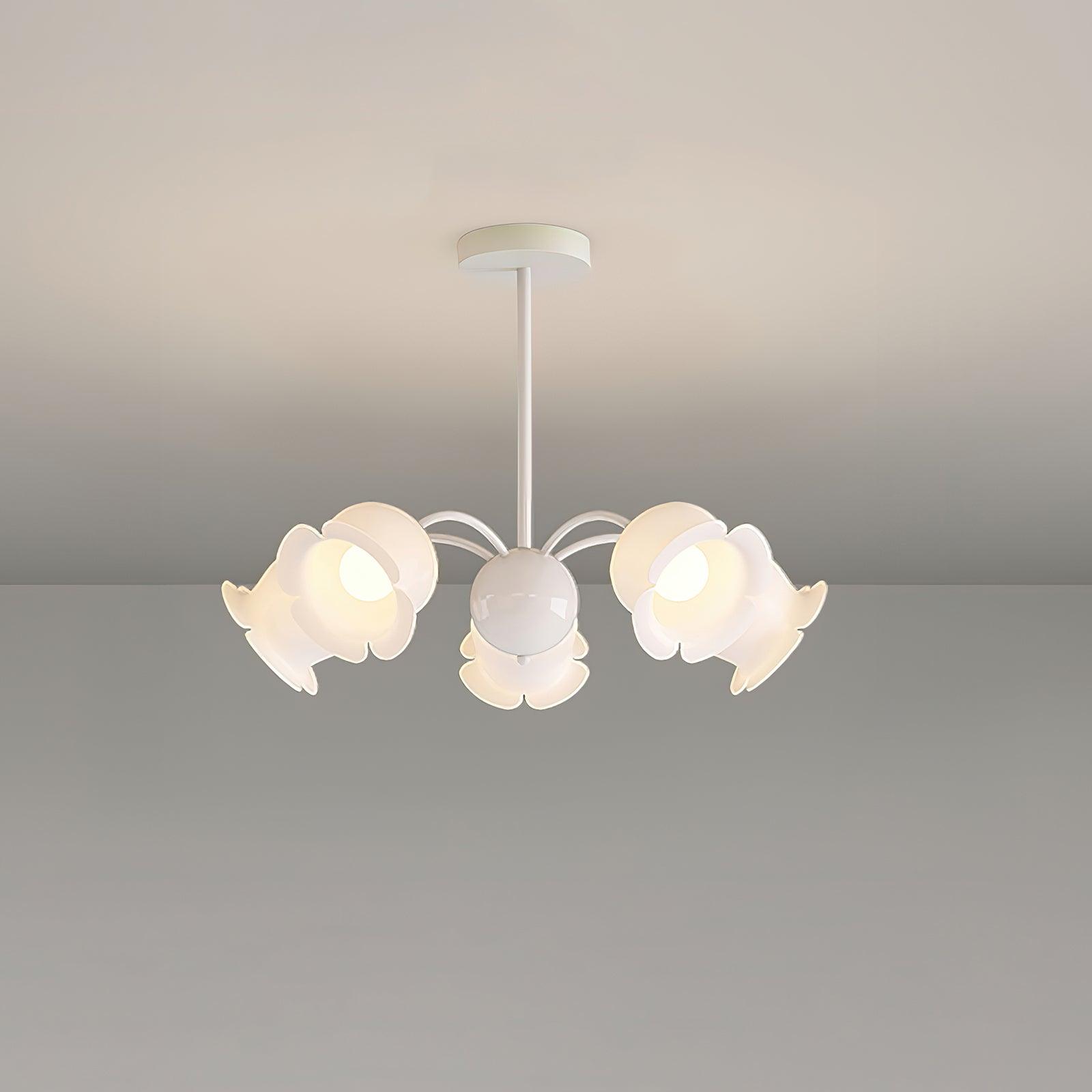 Dopisi Chandelier - Lumpaz