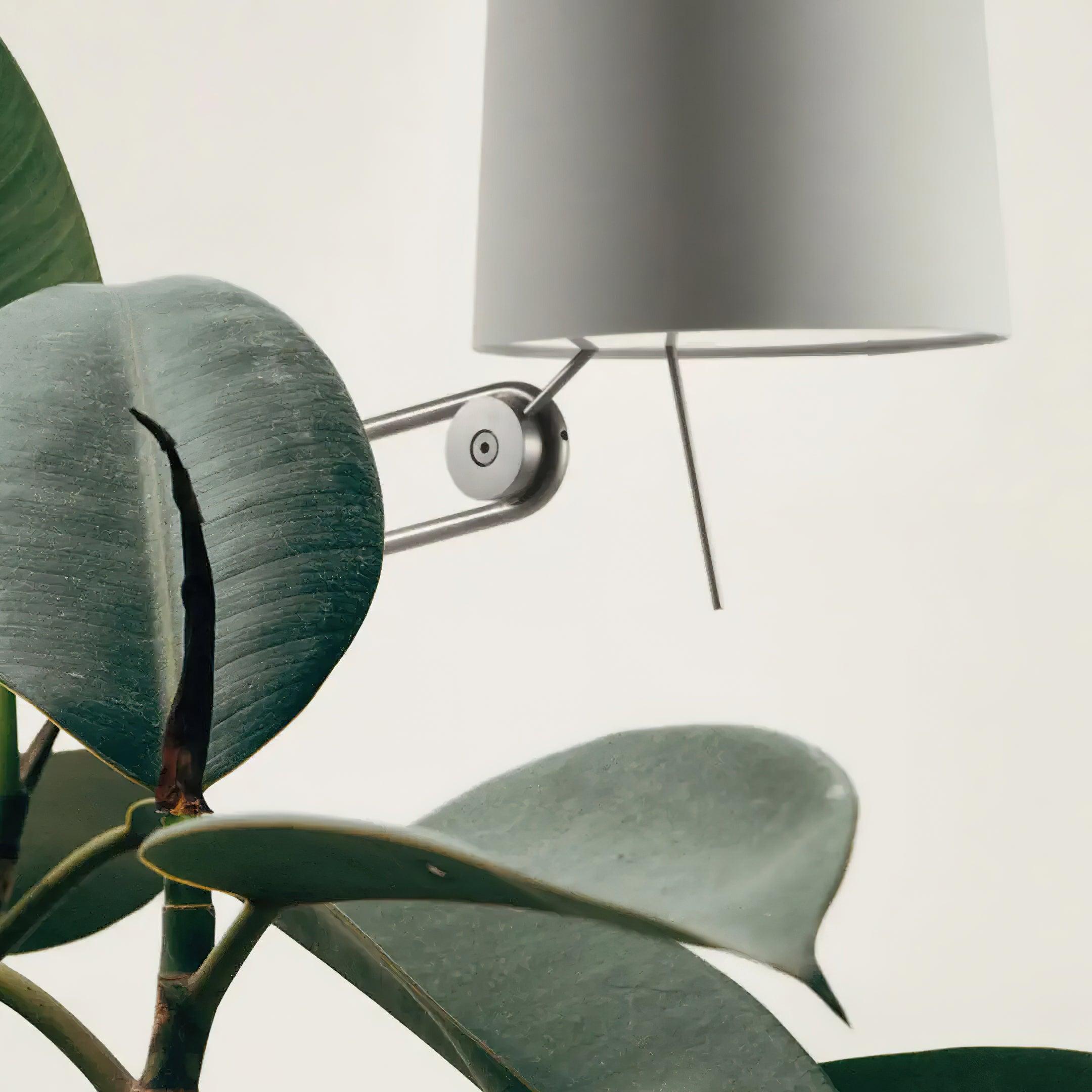 Sibaca Floor Lamp - Lumpaz