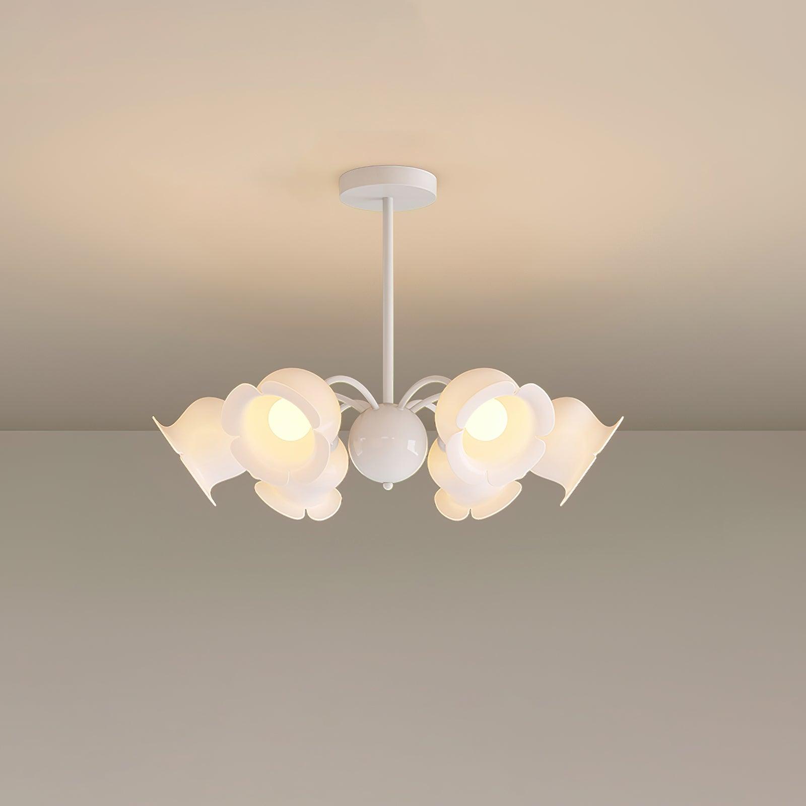 Dopisi Chandelier - Lumpaz