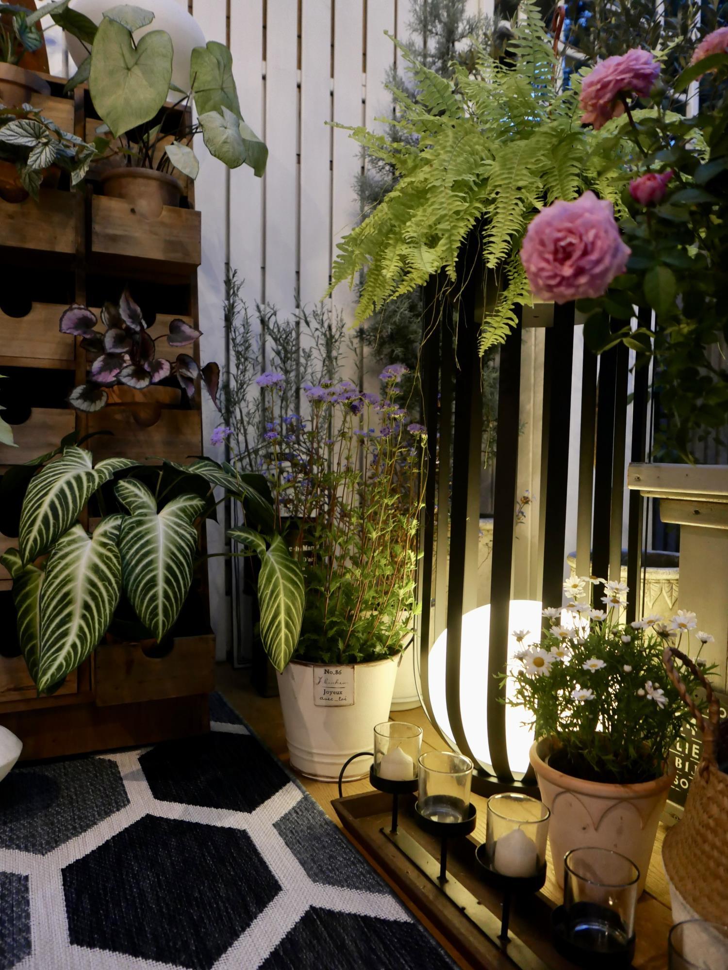 Bols Outdoor Garden Lamp with Solar Panel - Lumpaz