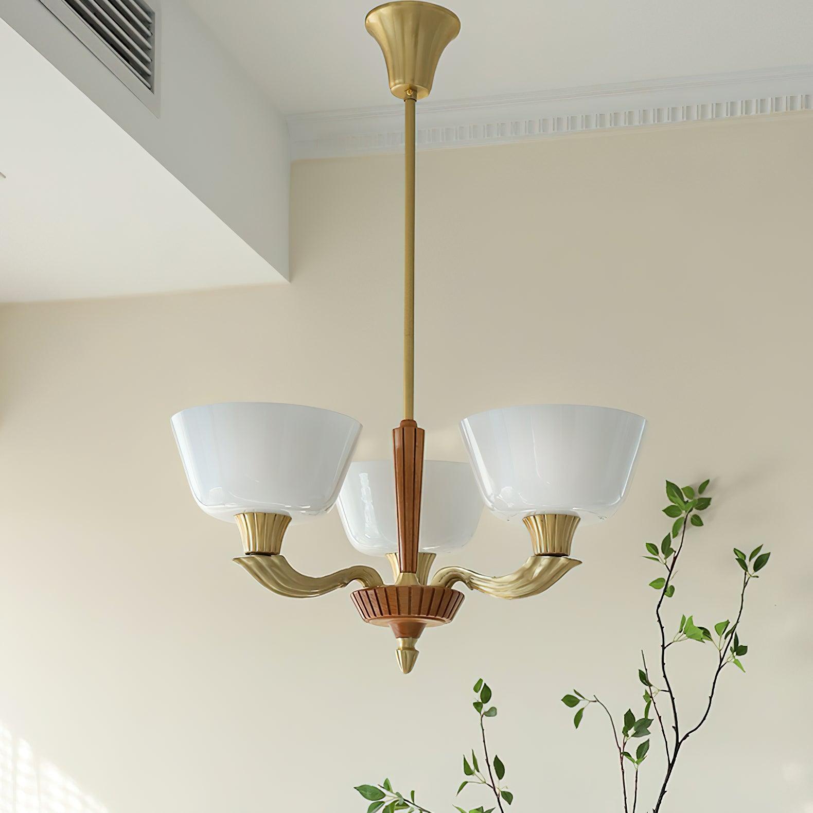 Ascher Chandelier - Lumpaz