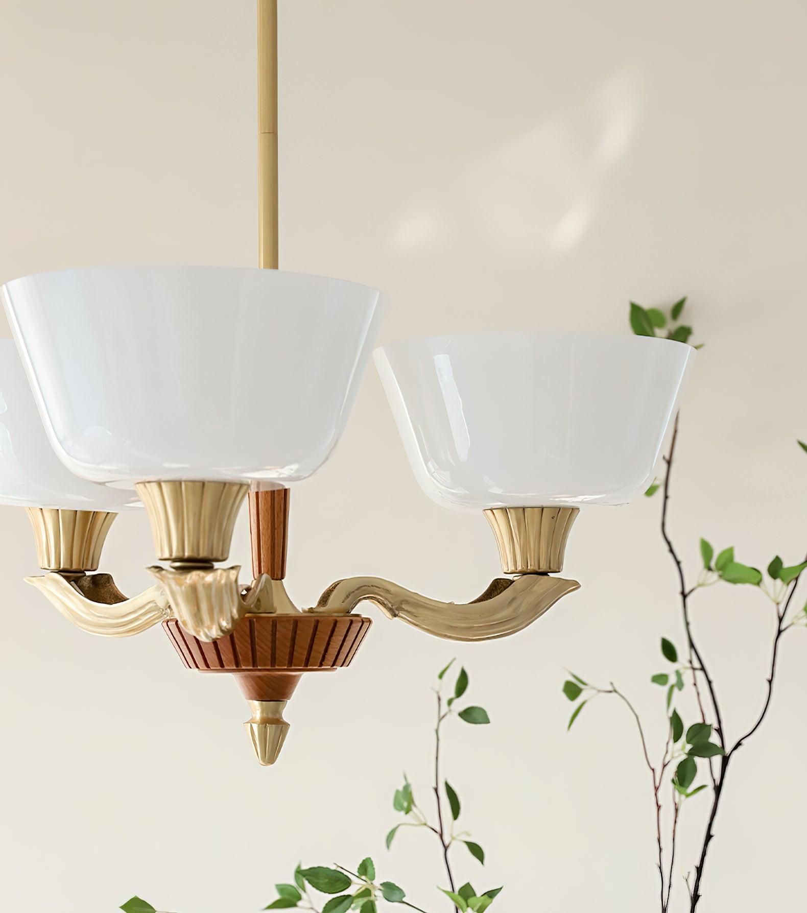 Ascher Chandelier - Lumpaz