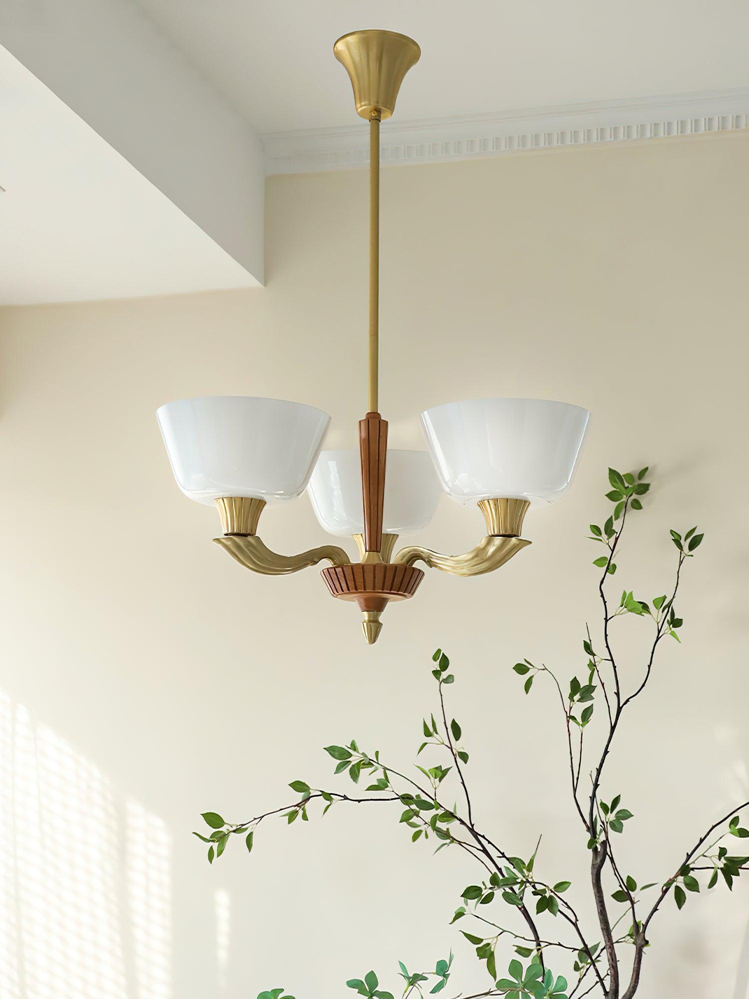 Ascher Chandelier - Lumpaz