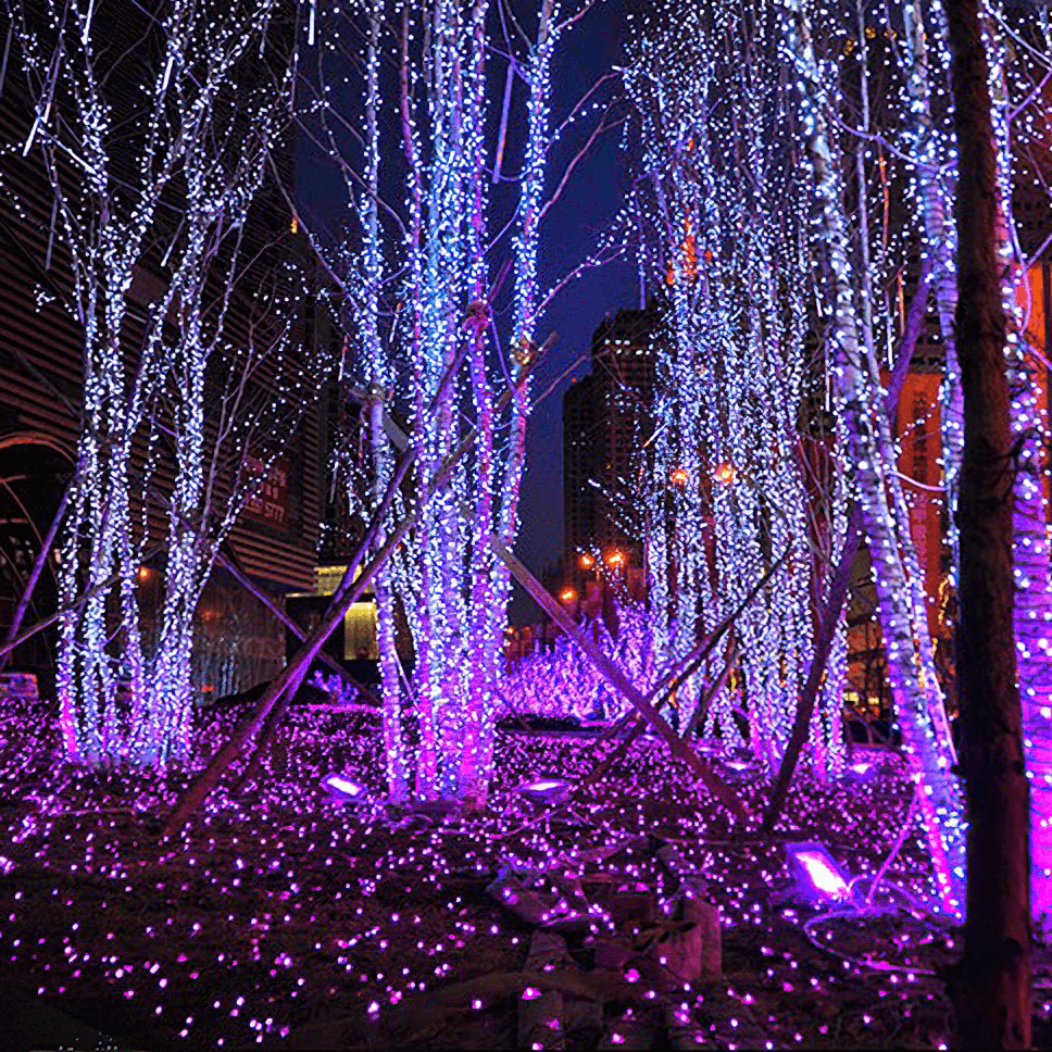 LED Fairy String Lights - Lumpaz