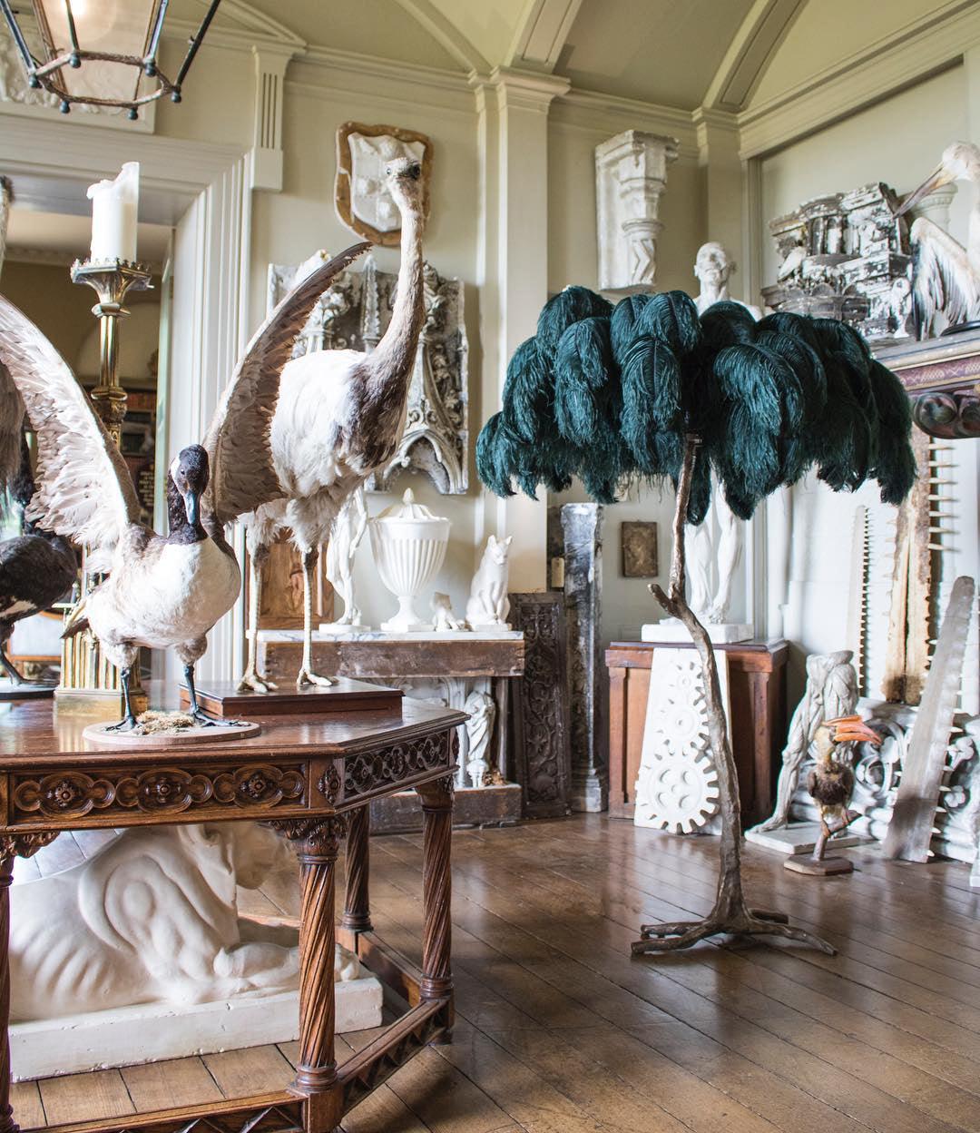 Ostrich Feather Brass Floor Lamp - Lumpaz
