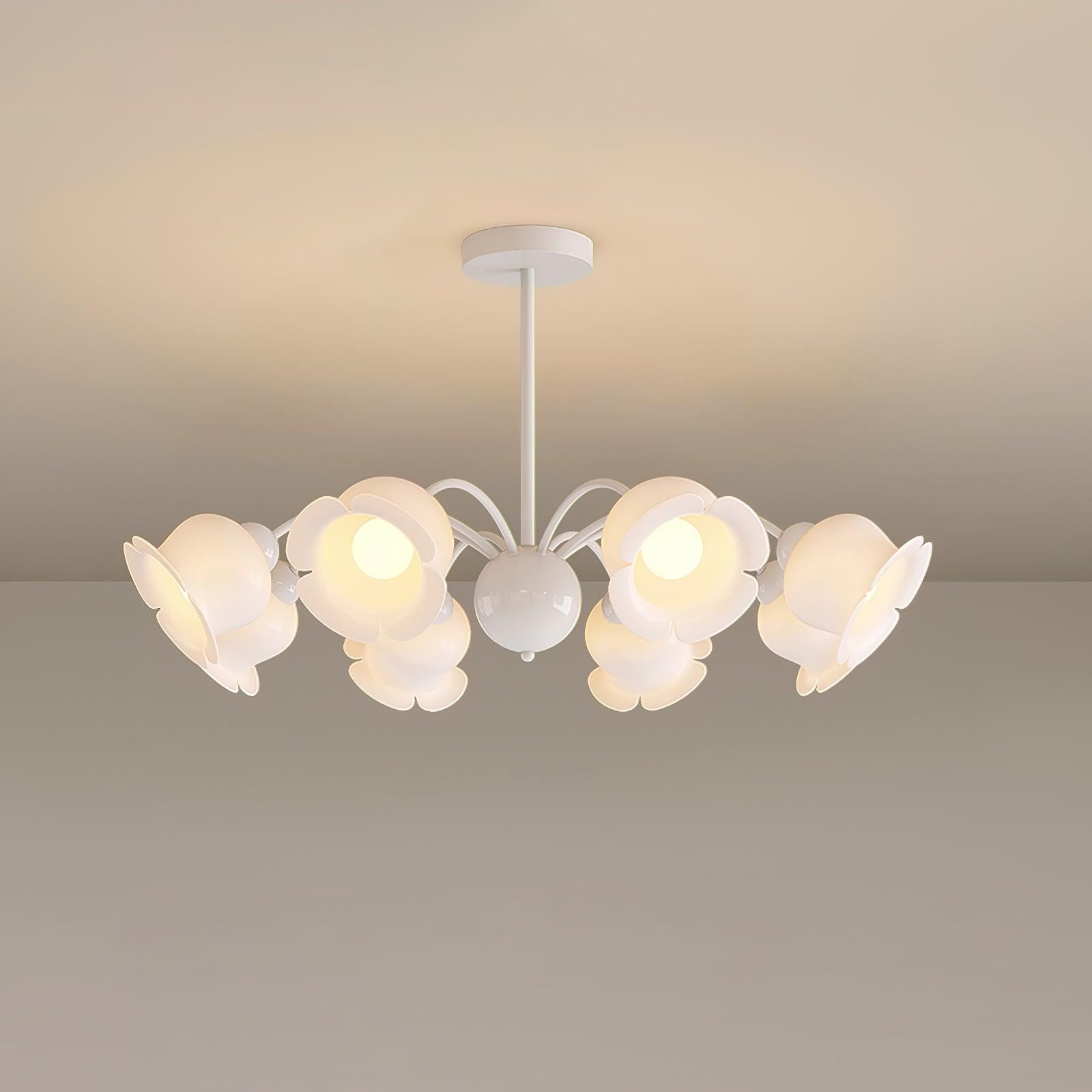 Dopisi Chandelier - Lumpaz
