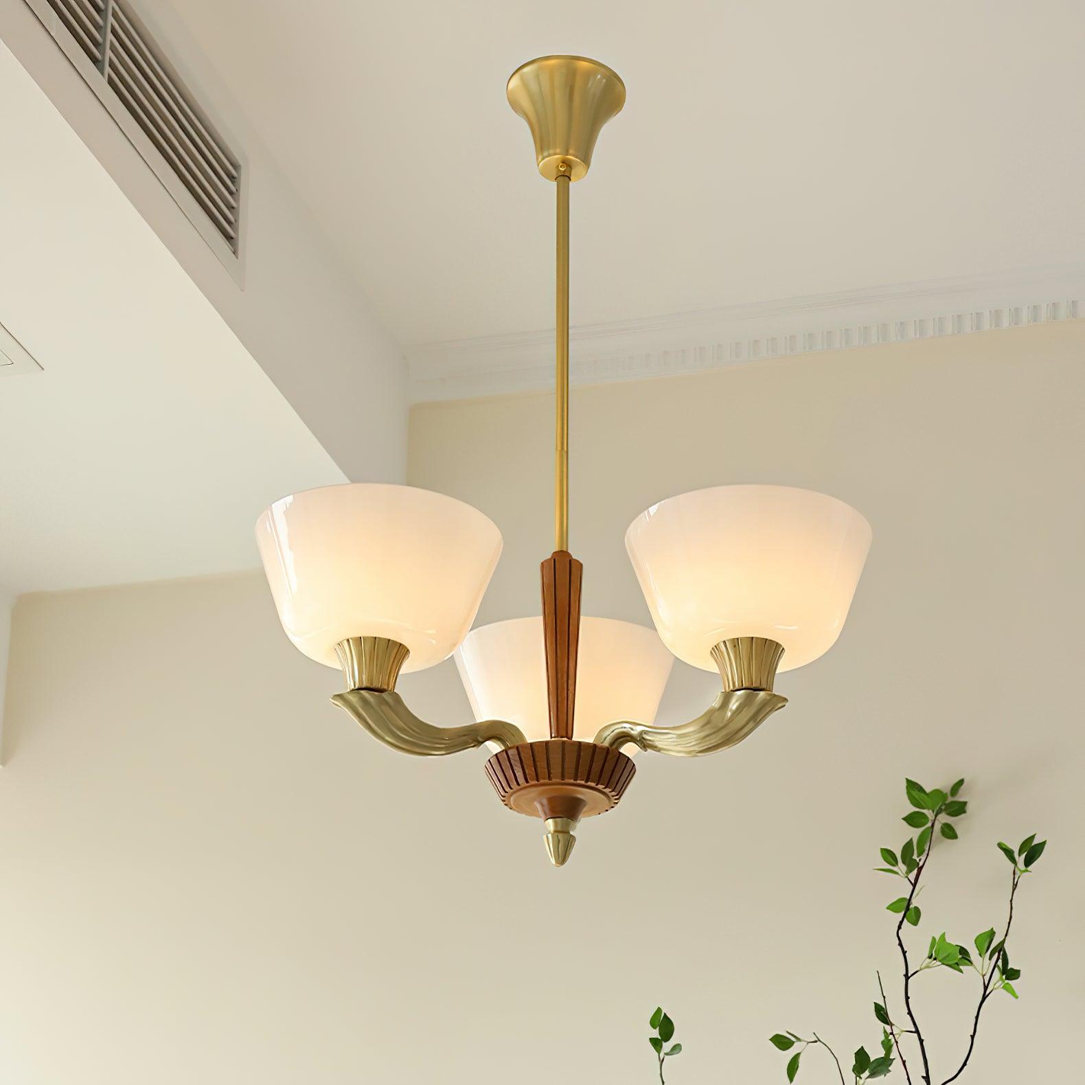 Ascher Chandelier - Lumpaz