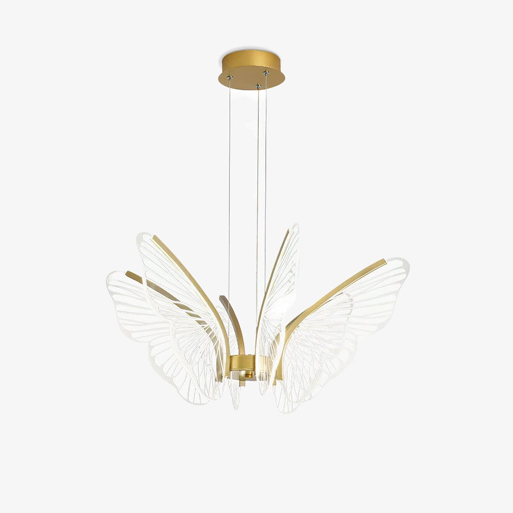 Phalaenopsis Chandelier - Lumpaz