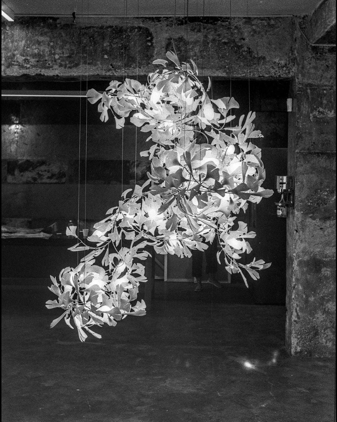 Gingko Chandelier F - Lumpaz