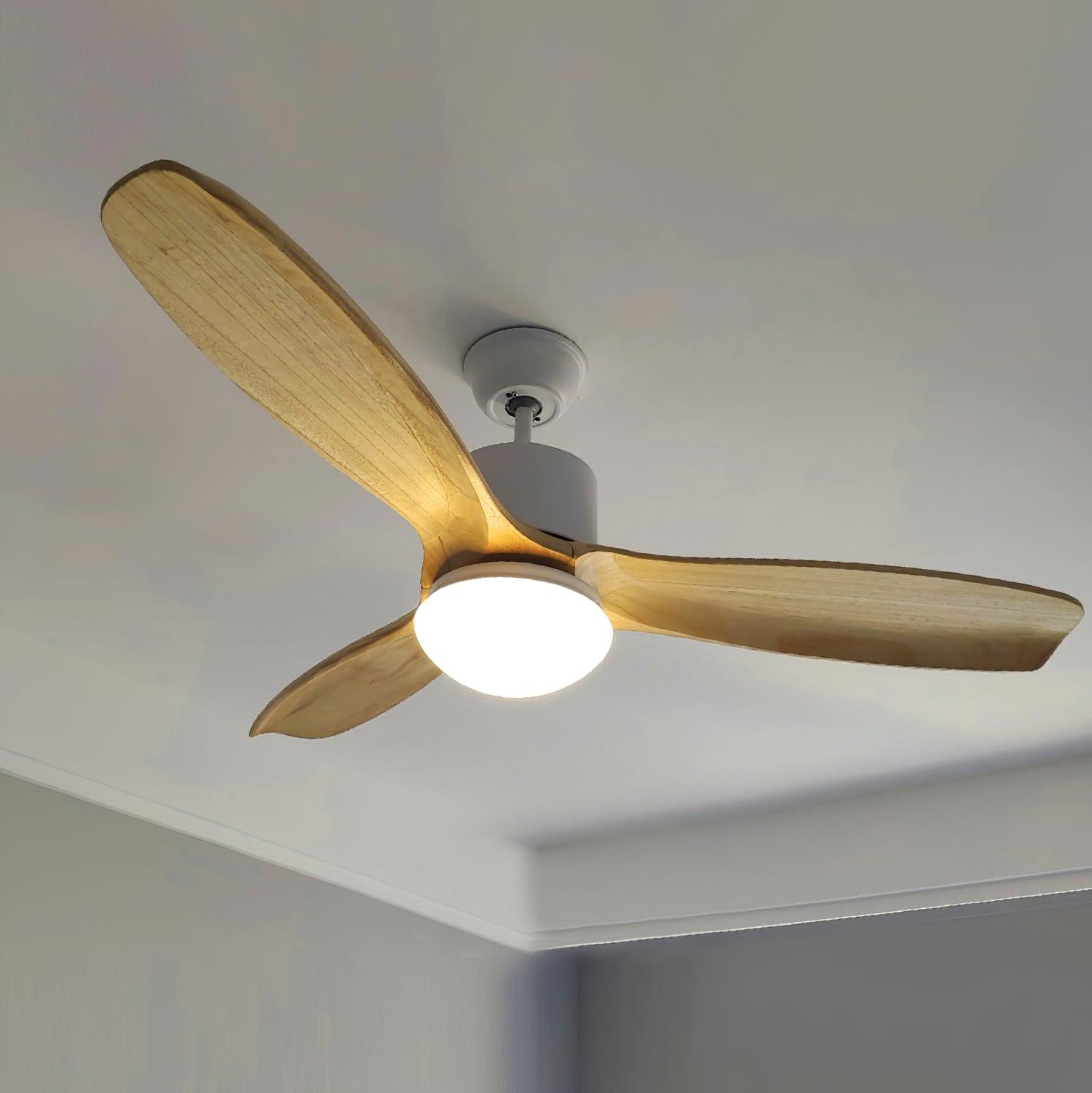 Harborough 3 Ceiling Fan Light - Lumpaz