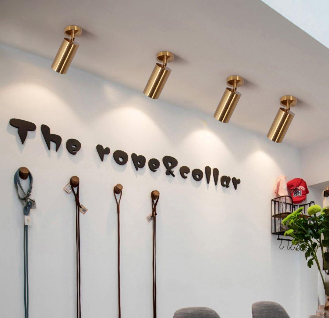 Cylinder Brass Series Ceiling Lamp - Lumpaz