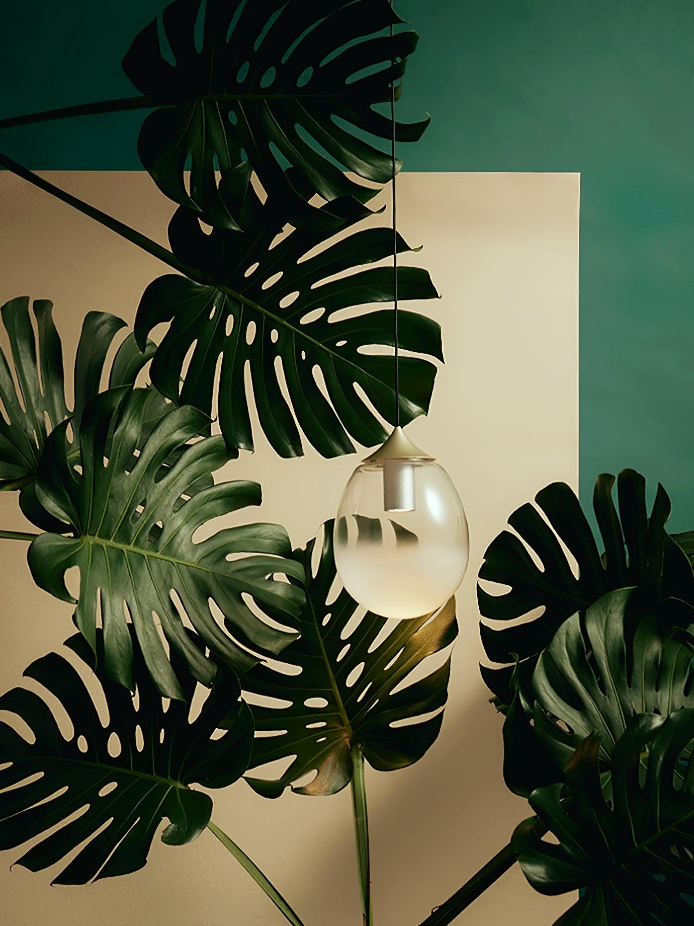 Petra Pendant Light - Lumpaz