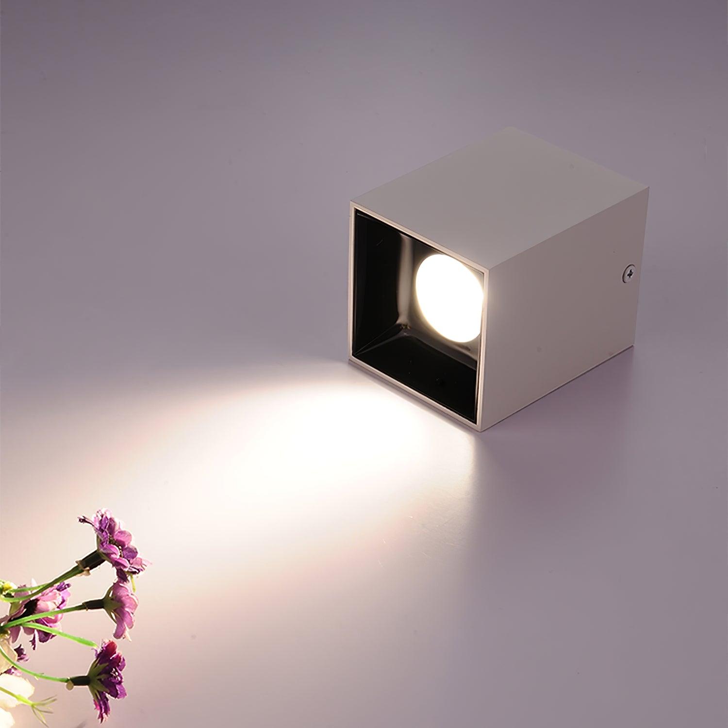 Cube Spotlight - Lumpaz