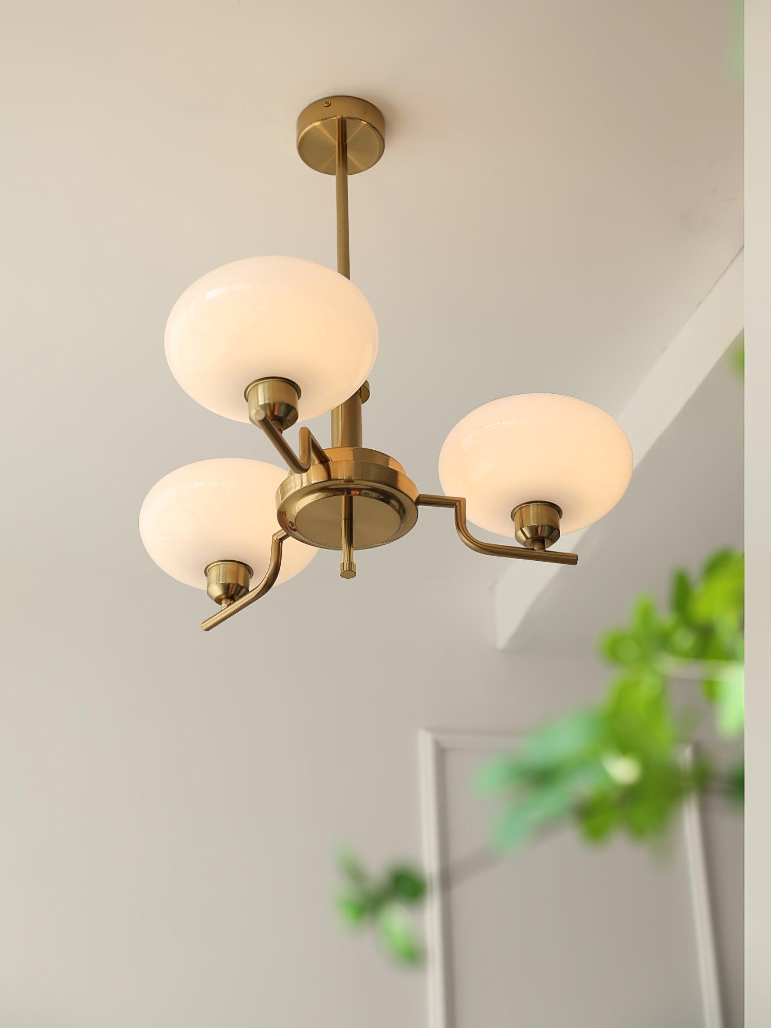 Puja Chandeliers - Lumpaz