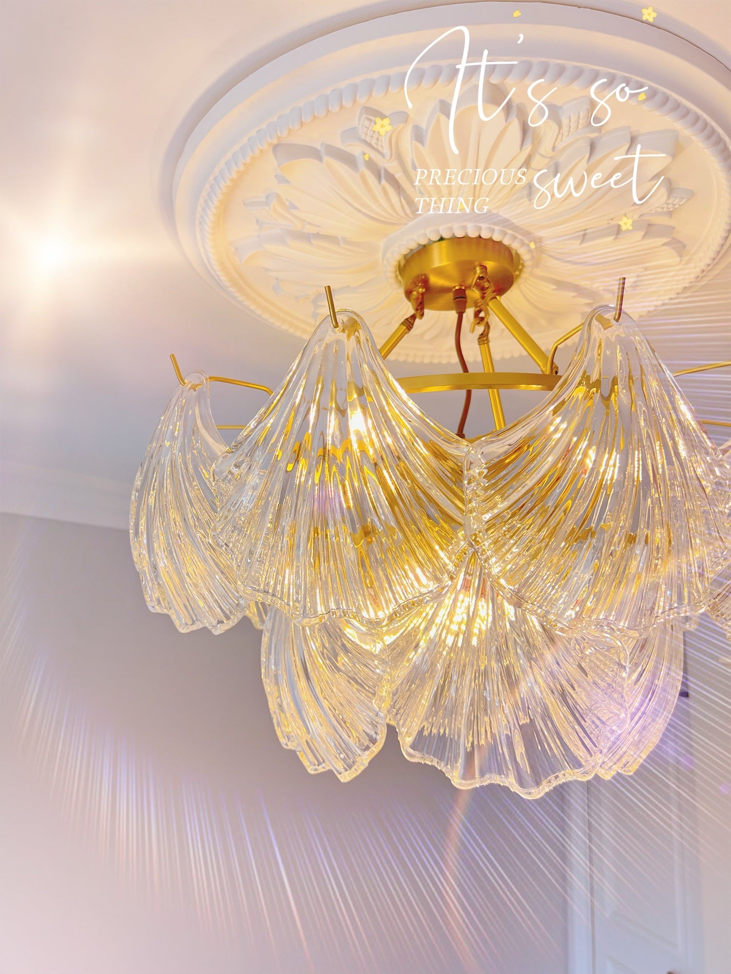 Ribbed Shell Ceiling light - Lumpaz