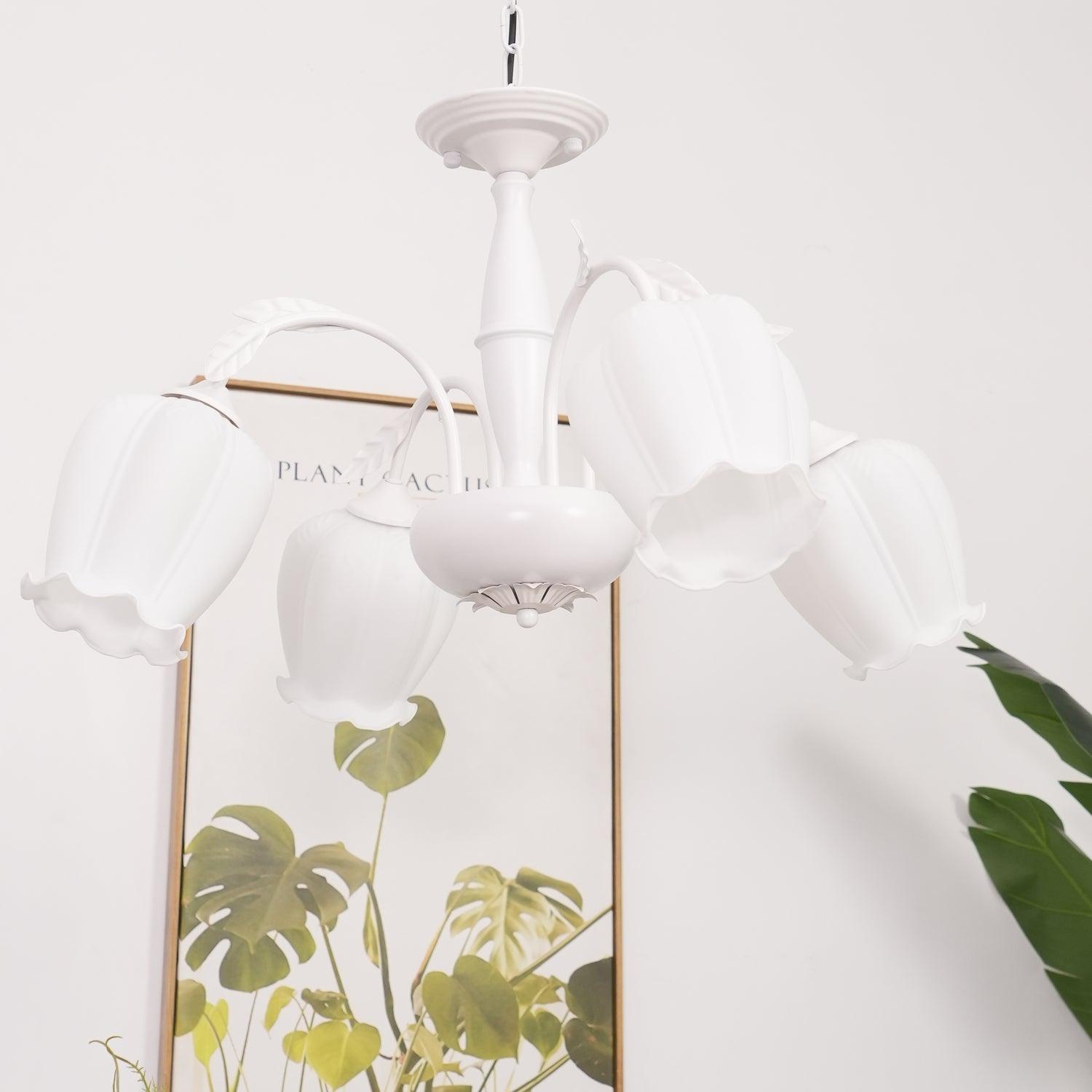 Rococo Chandelier - Lumpaz