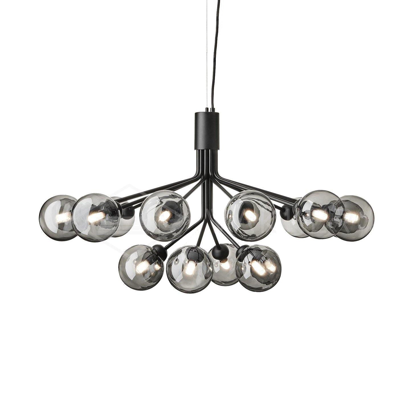 Apiales Chandelier - Lumpaz