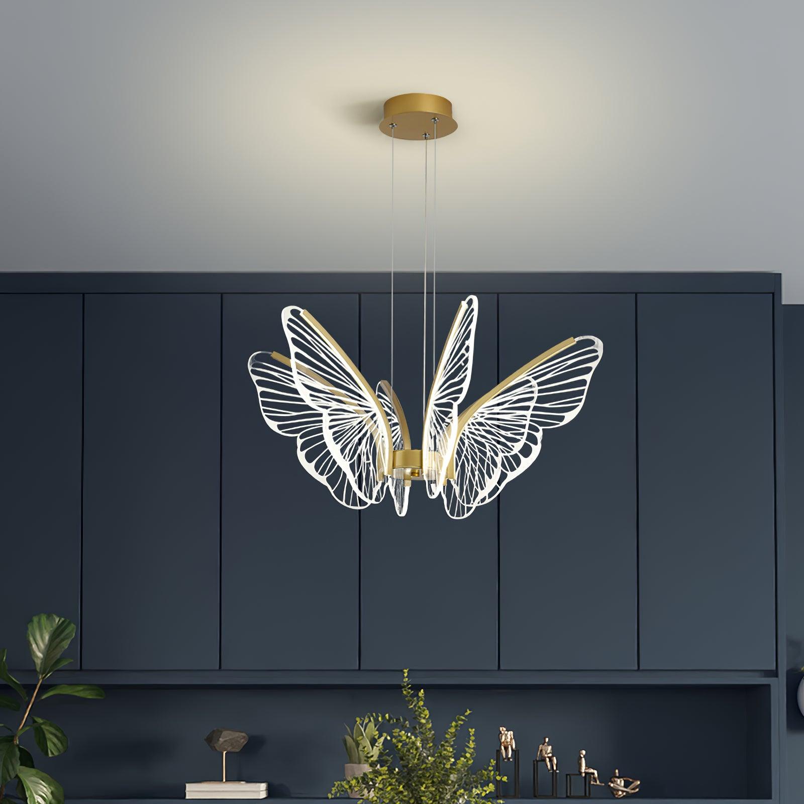 Phalaenopsis Chandelier - Lumpaz