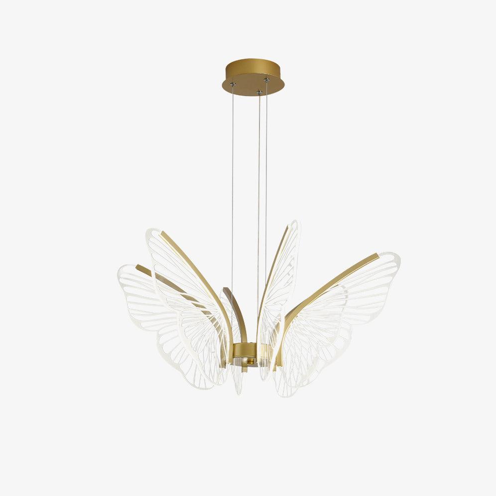 Phalaenopsis Chandelier - Lumpaz
