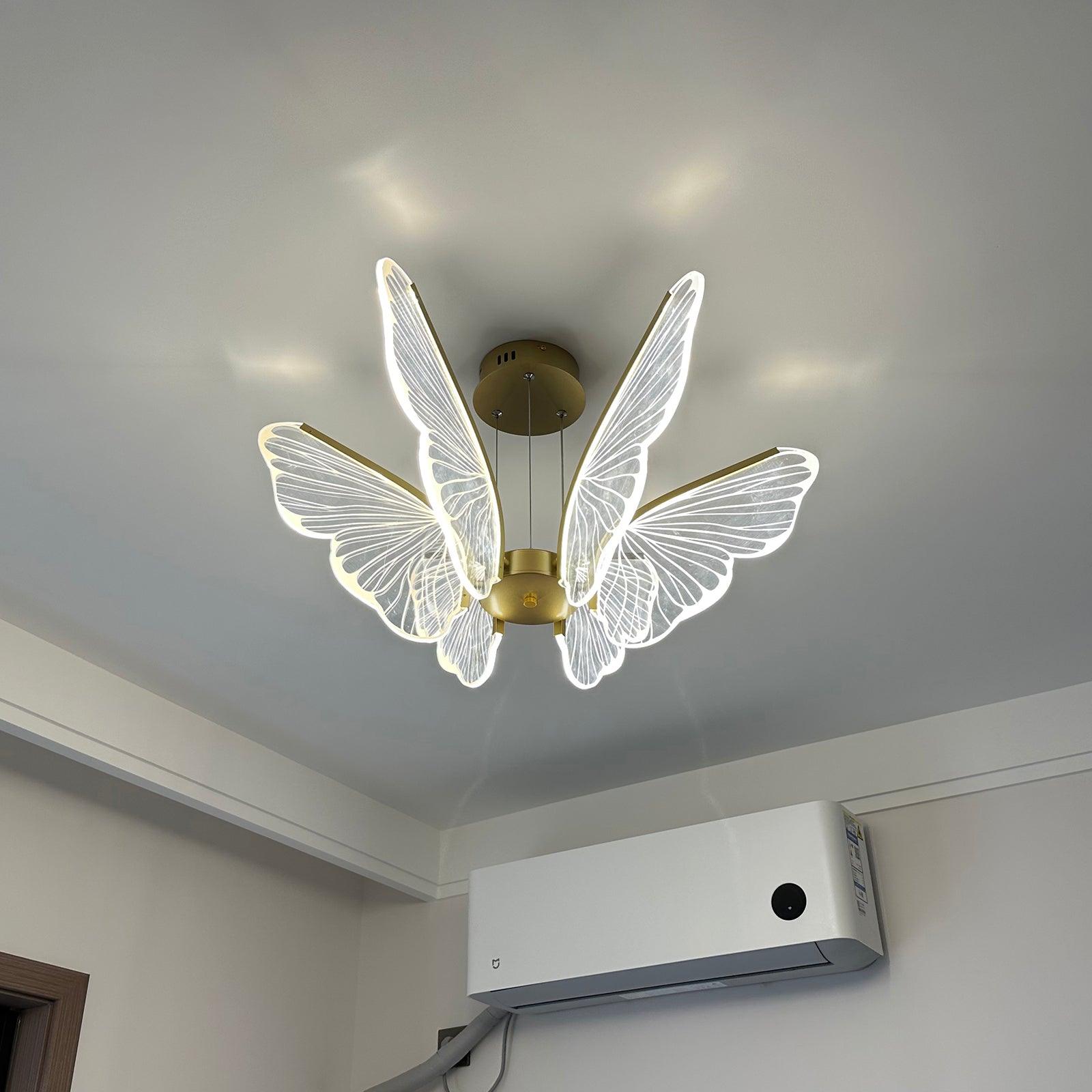 Phalaenopsis Chandelier - Lumpaz
