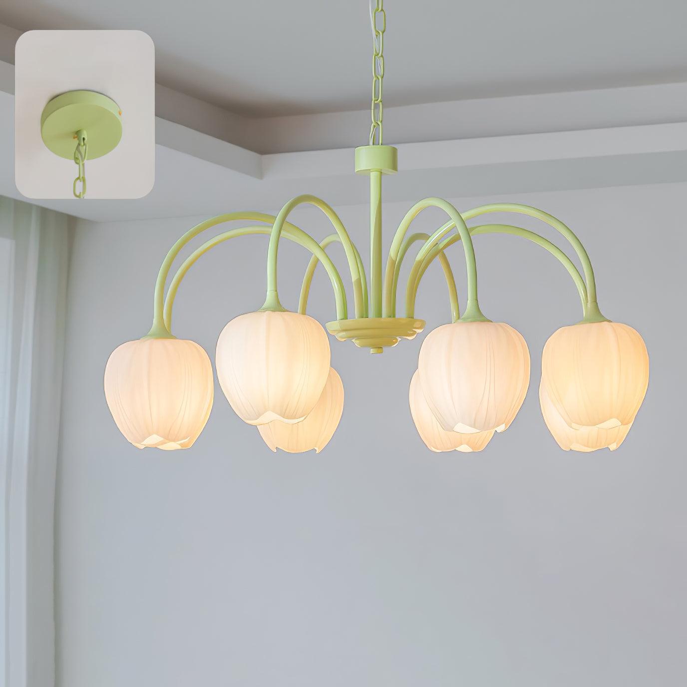 Tulip Matcha Chandelier - Lumpaz