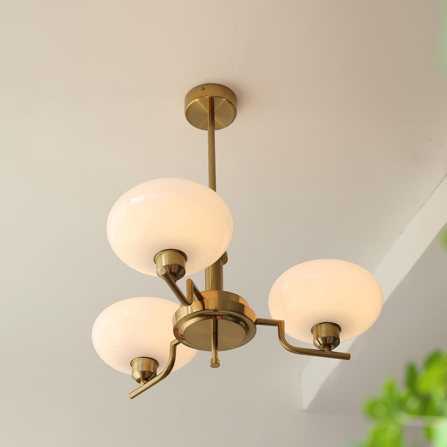 Puja Chandeliers - Lumpaz
