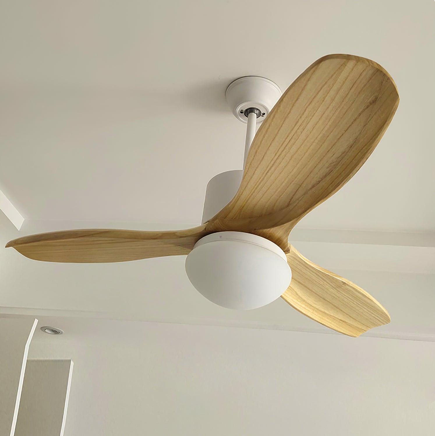 Harborough 3 Ceiling Fan Light - Lumpaz