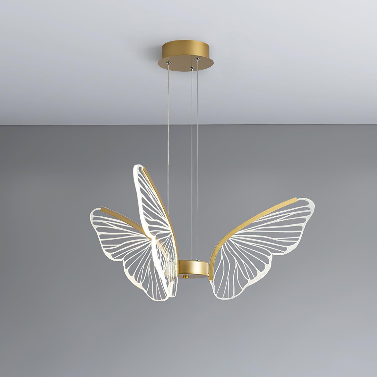 Phalaenopsis Chandelier - Lumpaz