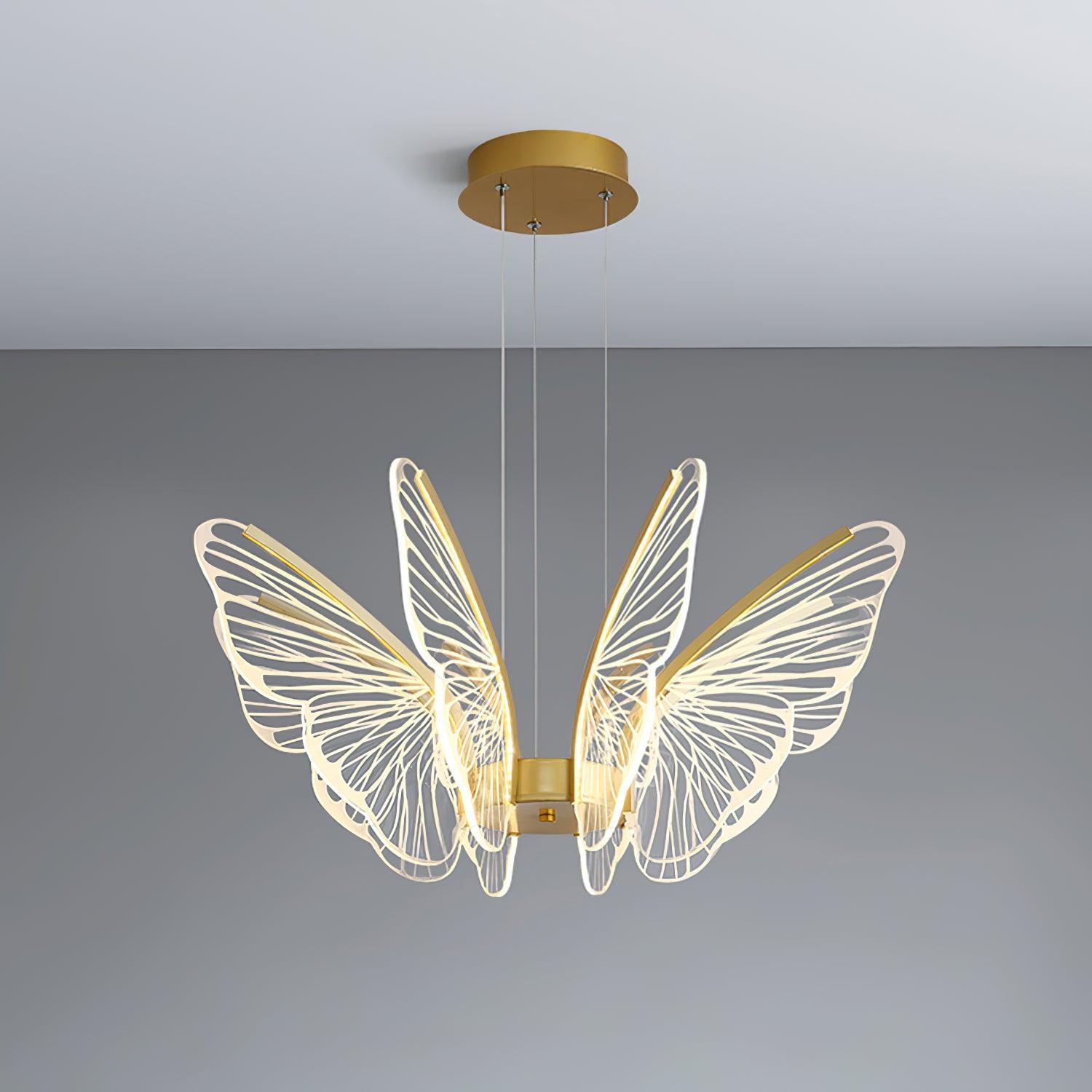 Phalaenopsis Chandelier - Lumpaz