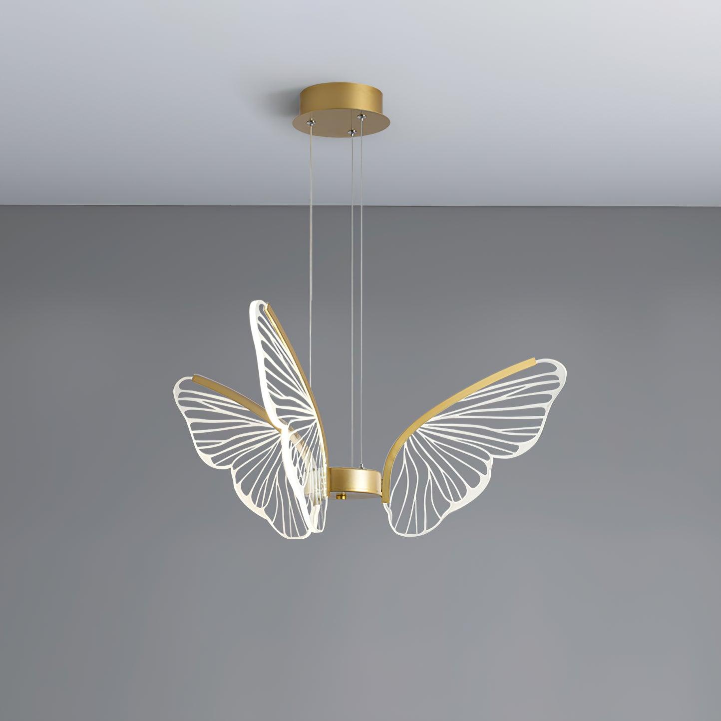 Phalaenopsis Chandelier - Lumpaz