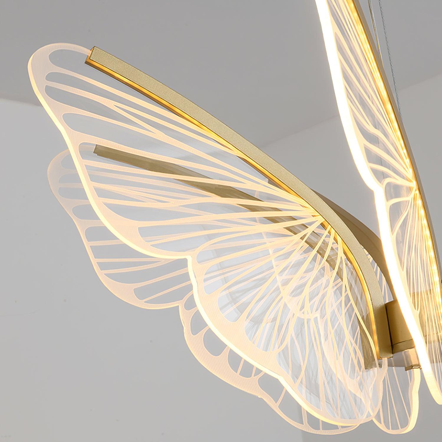 Phalaenopsis Chandelier - Lumpaz