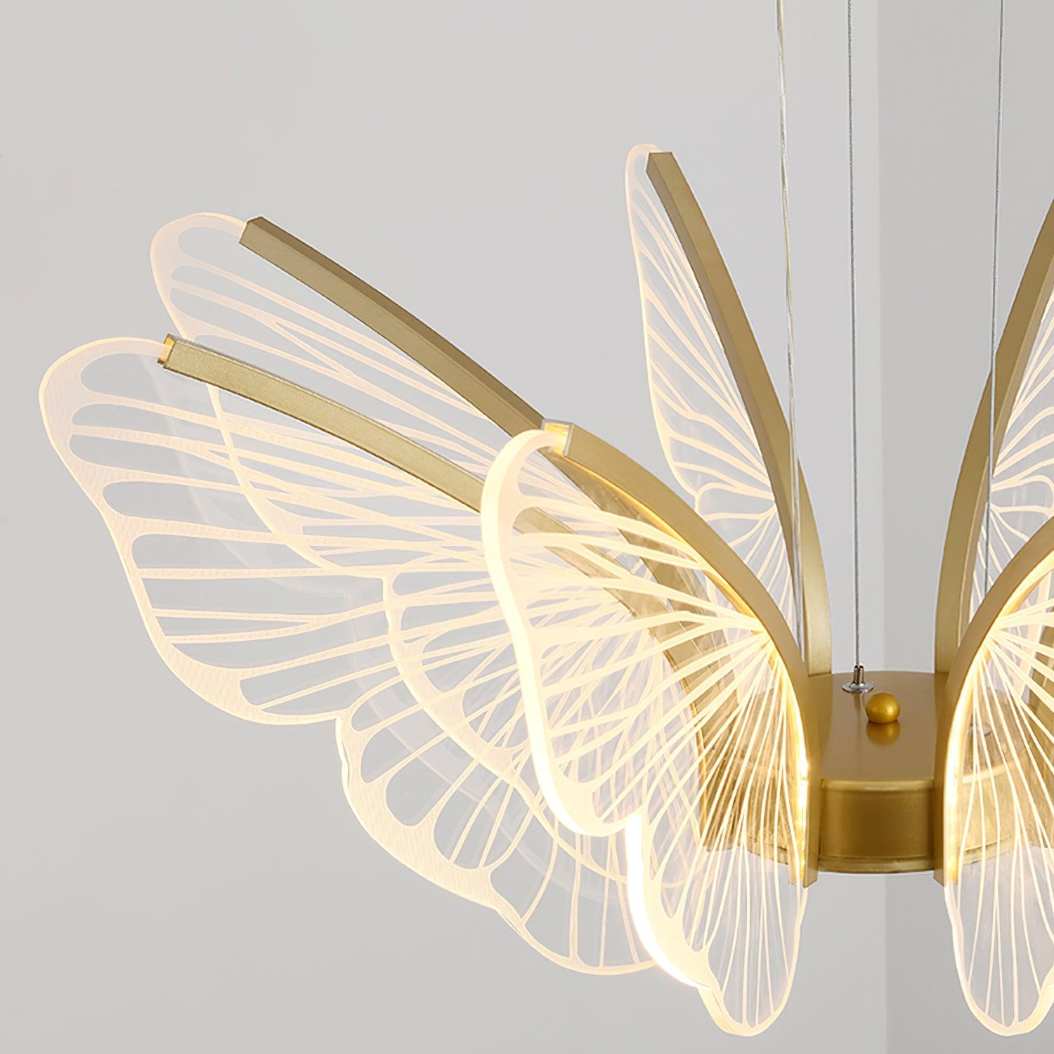 Phalaenopsis Chandelier - Lumpaz