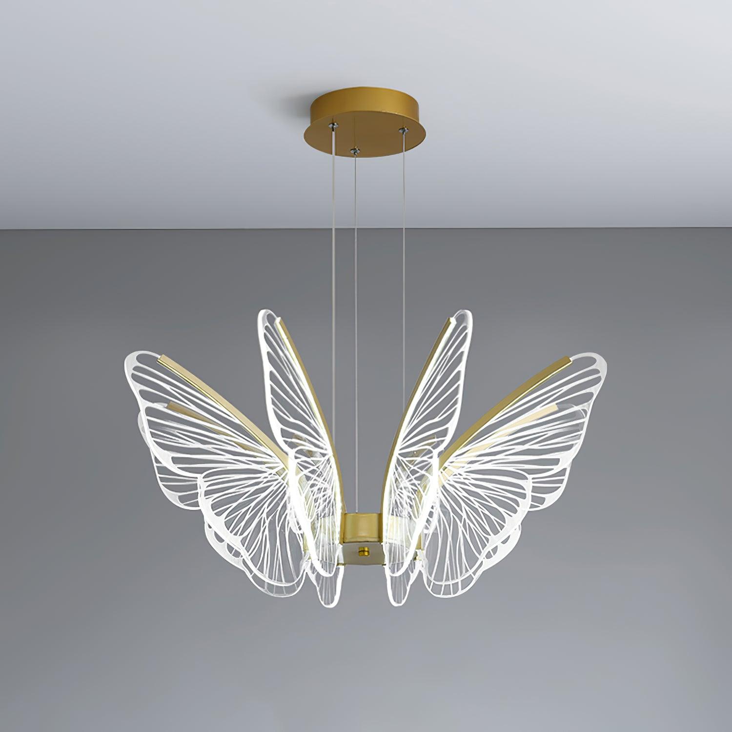 Phalaenopsis Chandelier - Lumpaz