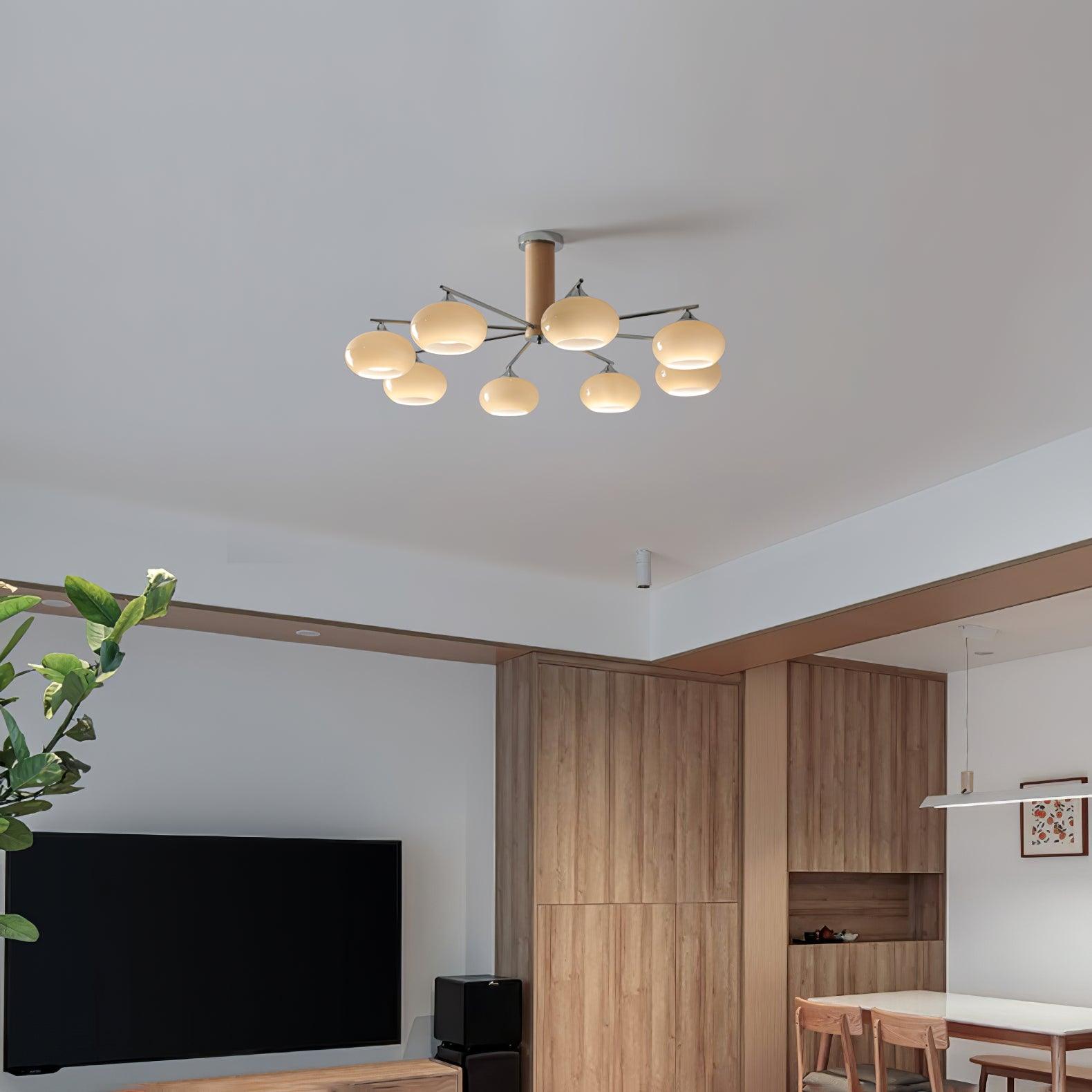Elliptical Persimmon Chandelier - Lumpaz