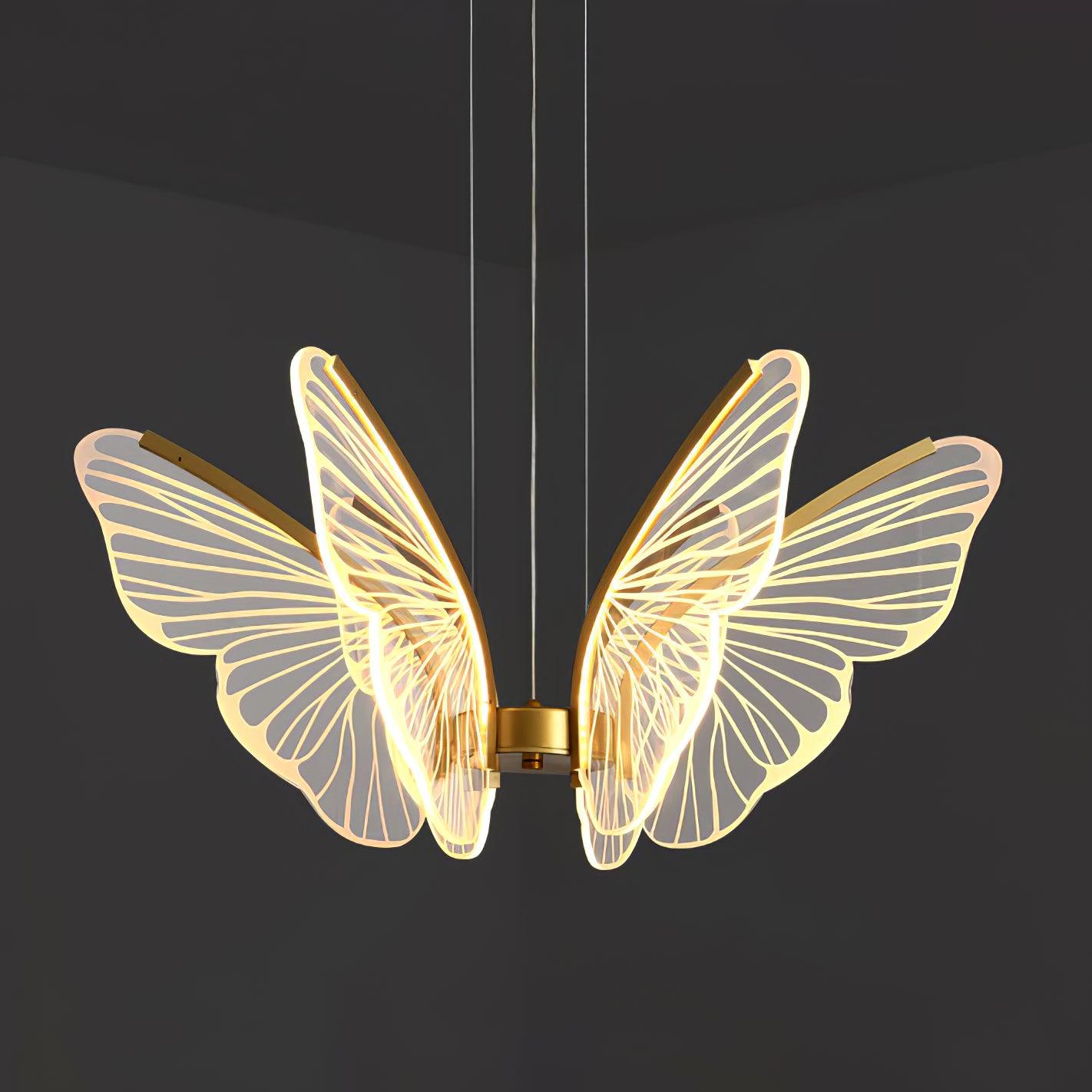 Phalaenopsis Chandelier - Lumpaz