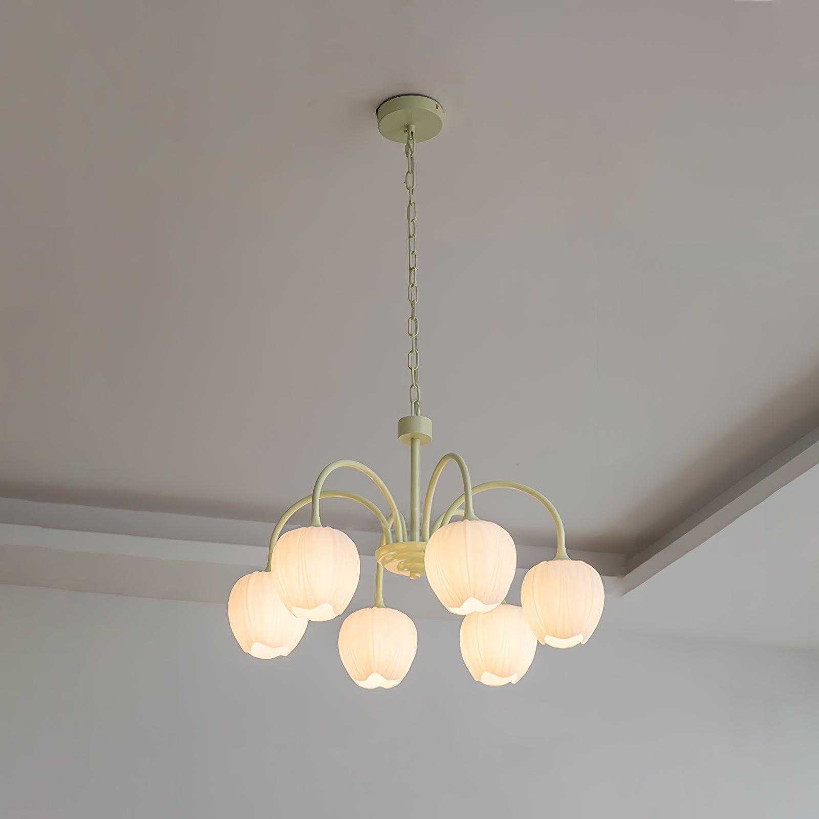 Tulip Matcha Chandelier - Lumpaz