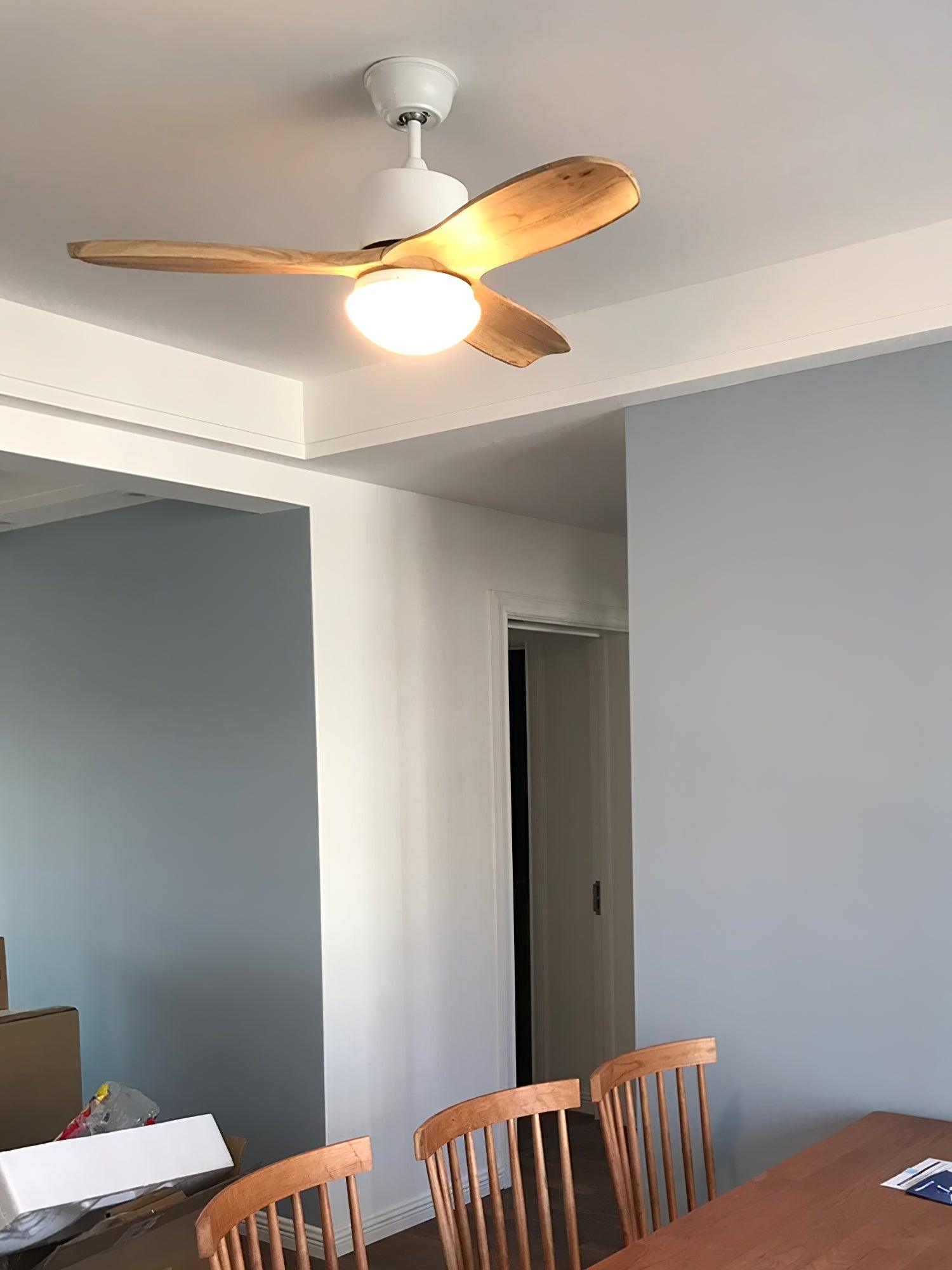 Harborough 3 Ceiling Fan Light - Lumpaz