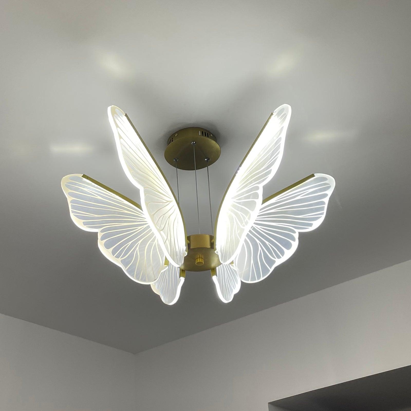 Phalaenopsis Chandelier - Lumpaz