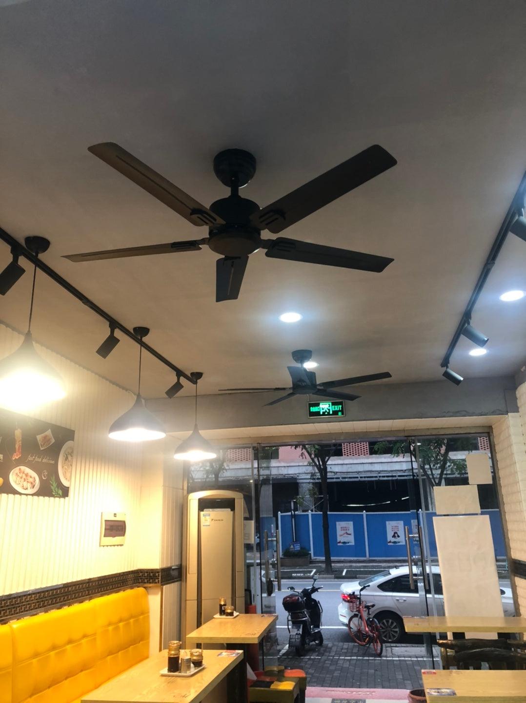 Rozzen Ceiling Fan 52″ - Lumpaz